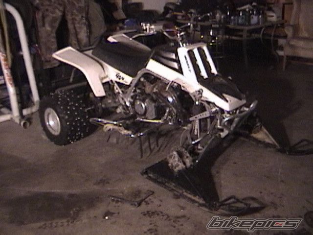 Photo 1600031