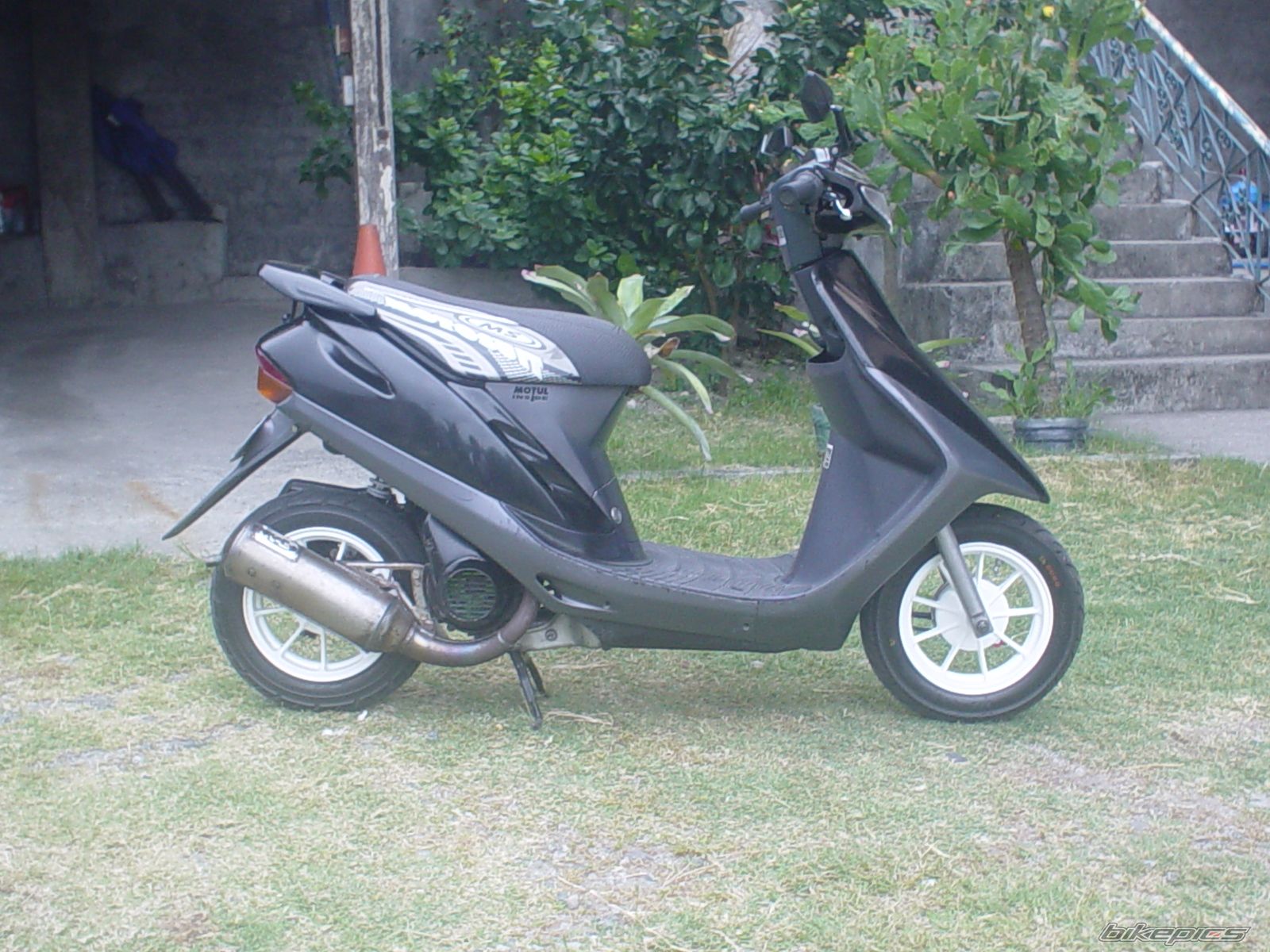 Photo 1600259