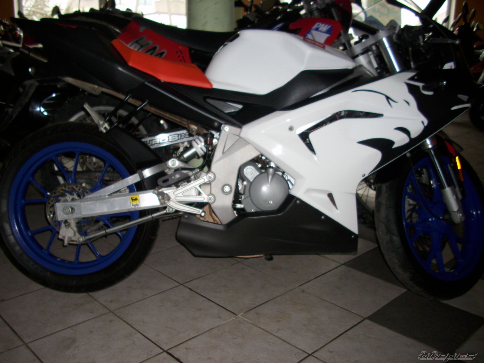 Photo 1600280