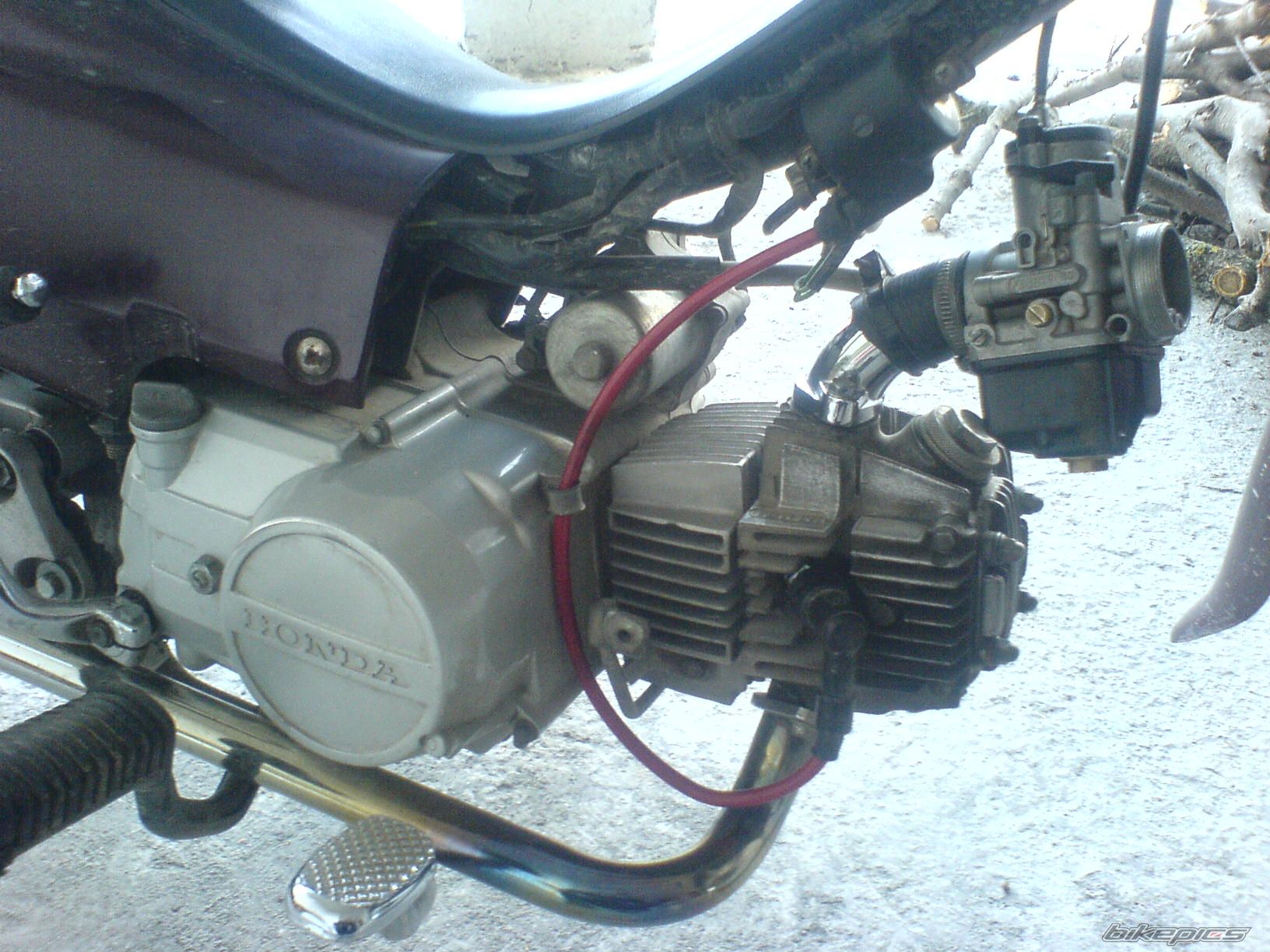 Photo 1600301
