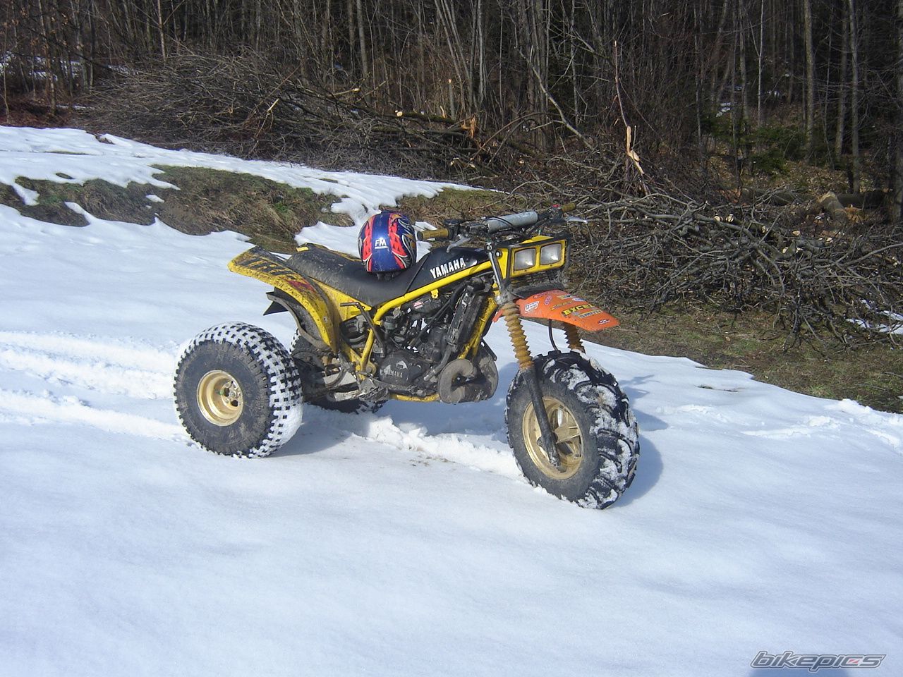 Photo 1600302