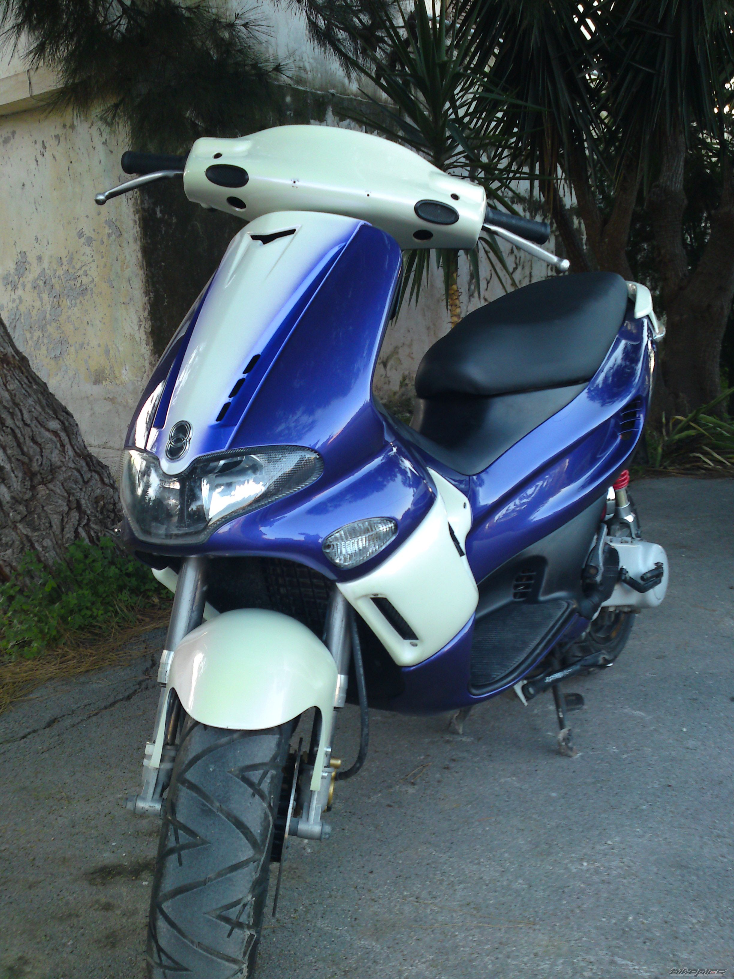 Photo 1600305