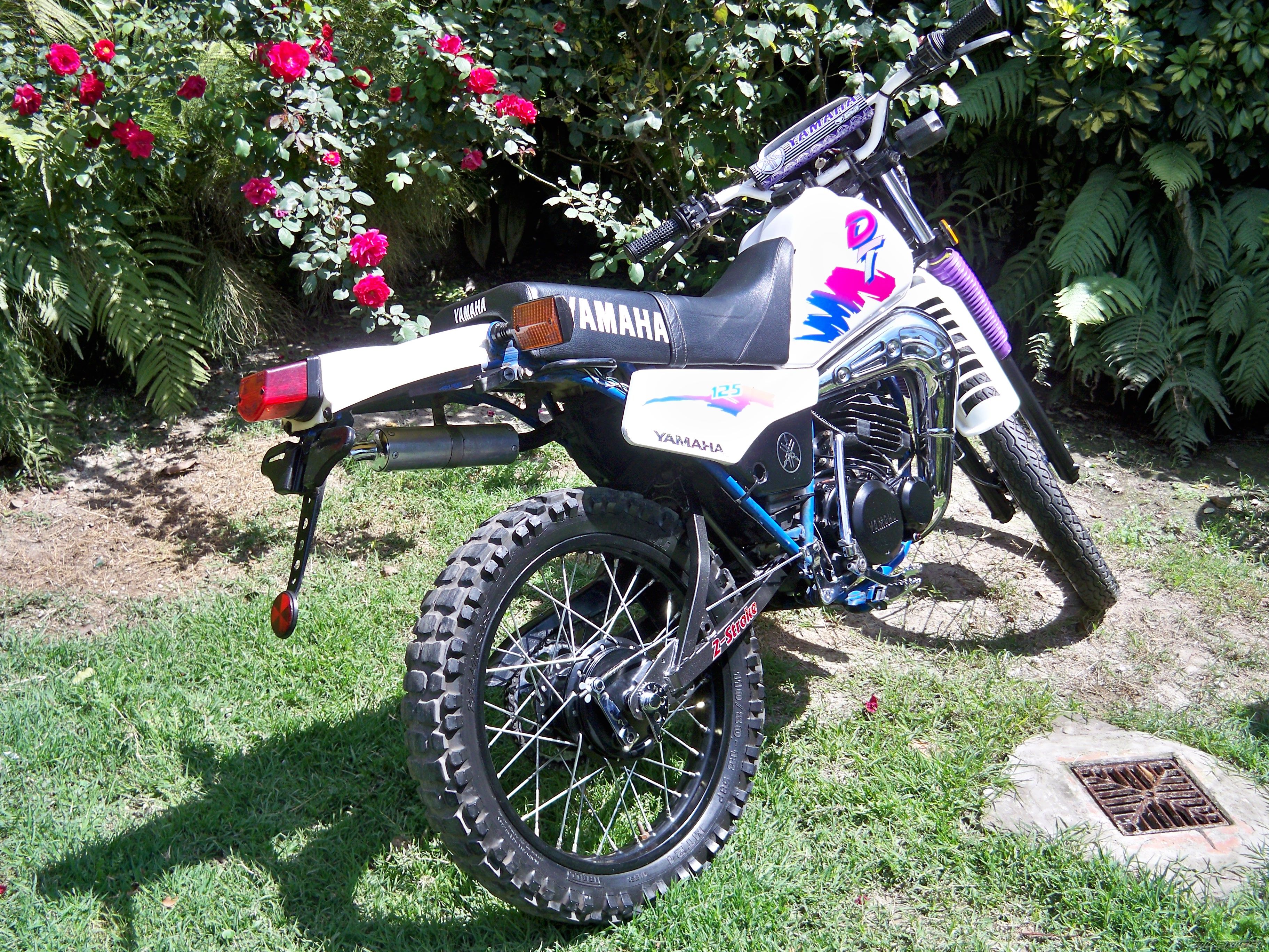 Photo 1600614