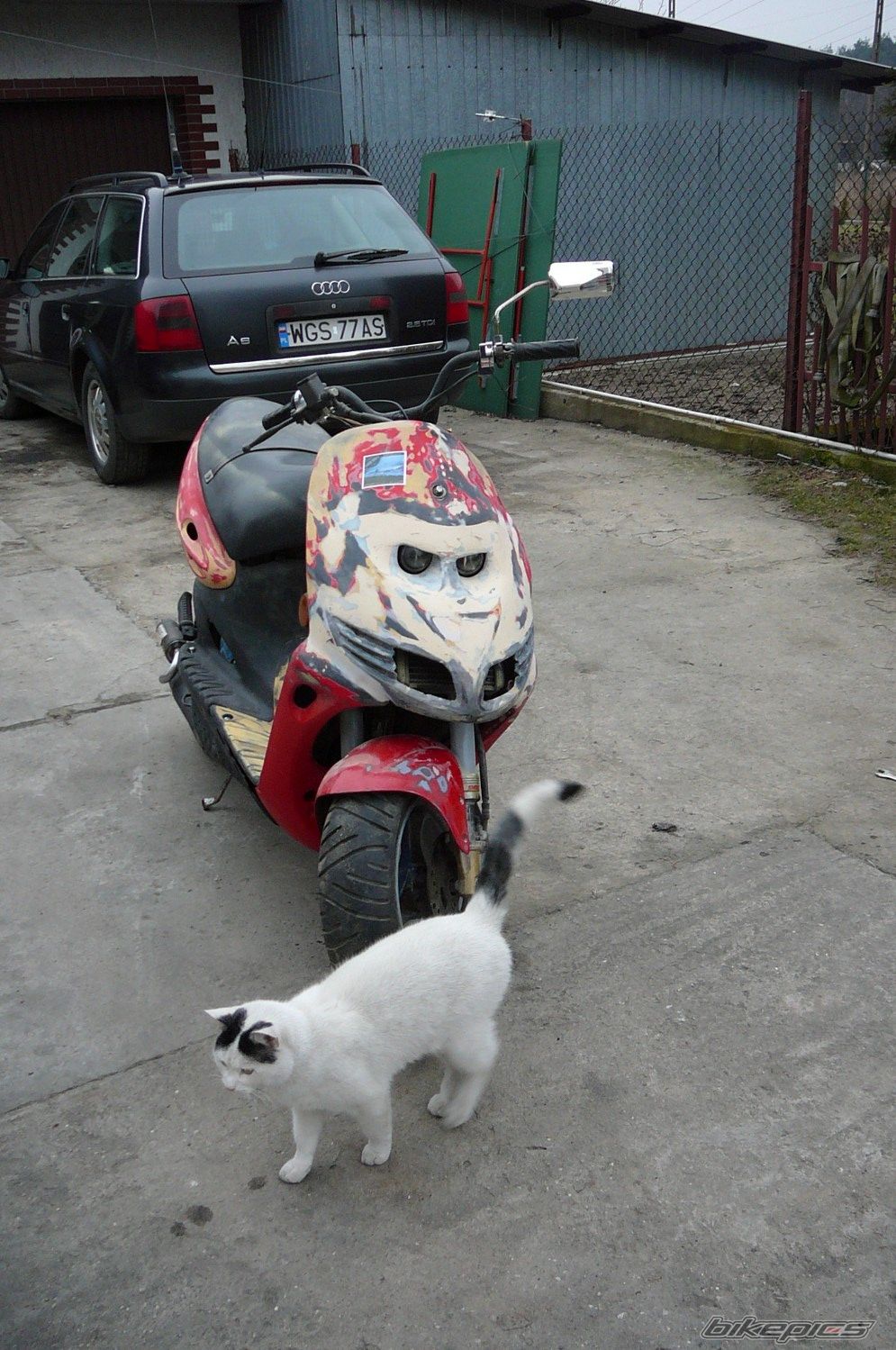 Photo 1600662