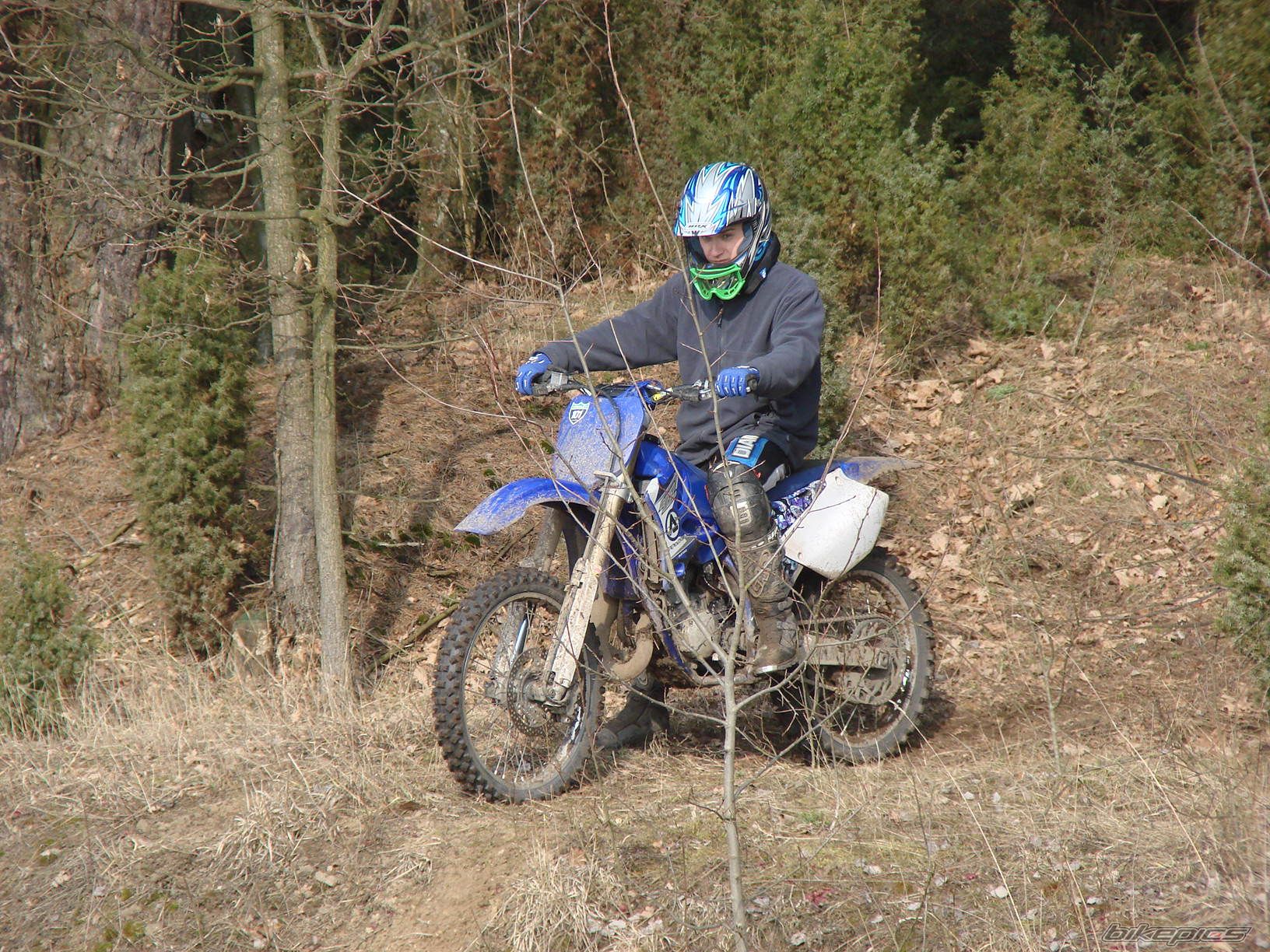 Photo 1601141