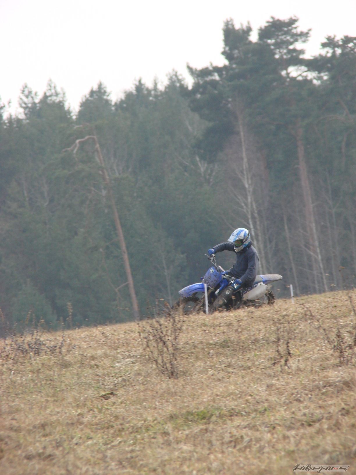 Photo 1601152