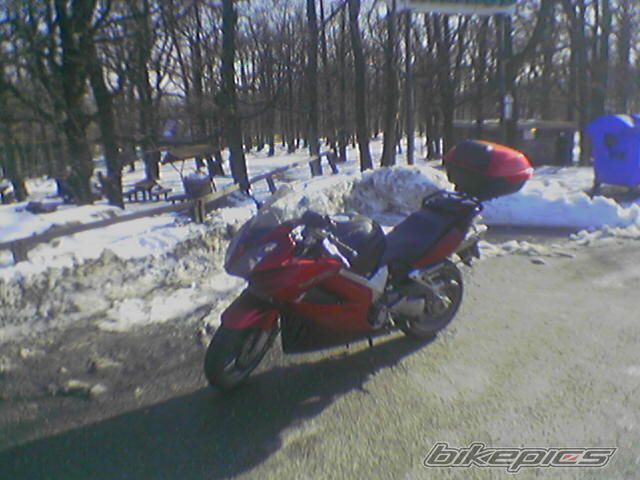 Photo 1601154