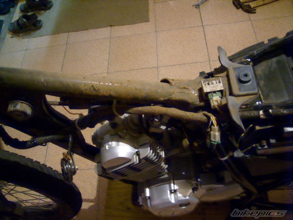 Photo 1601285