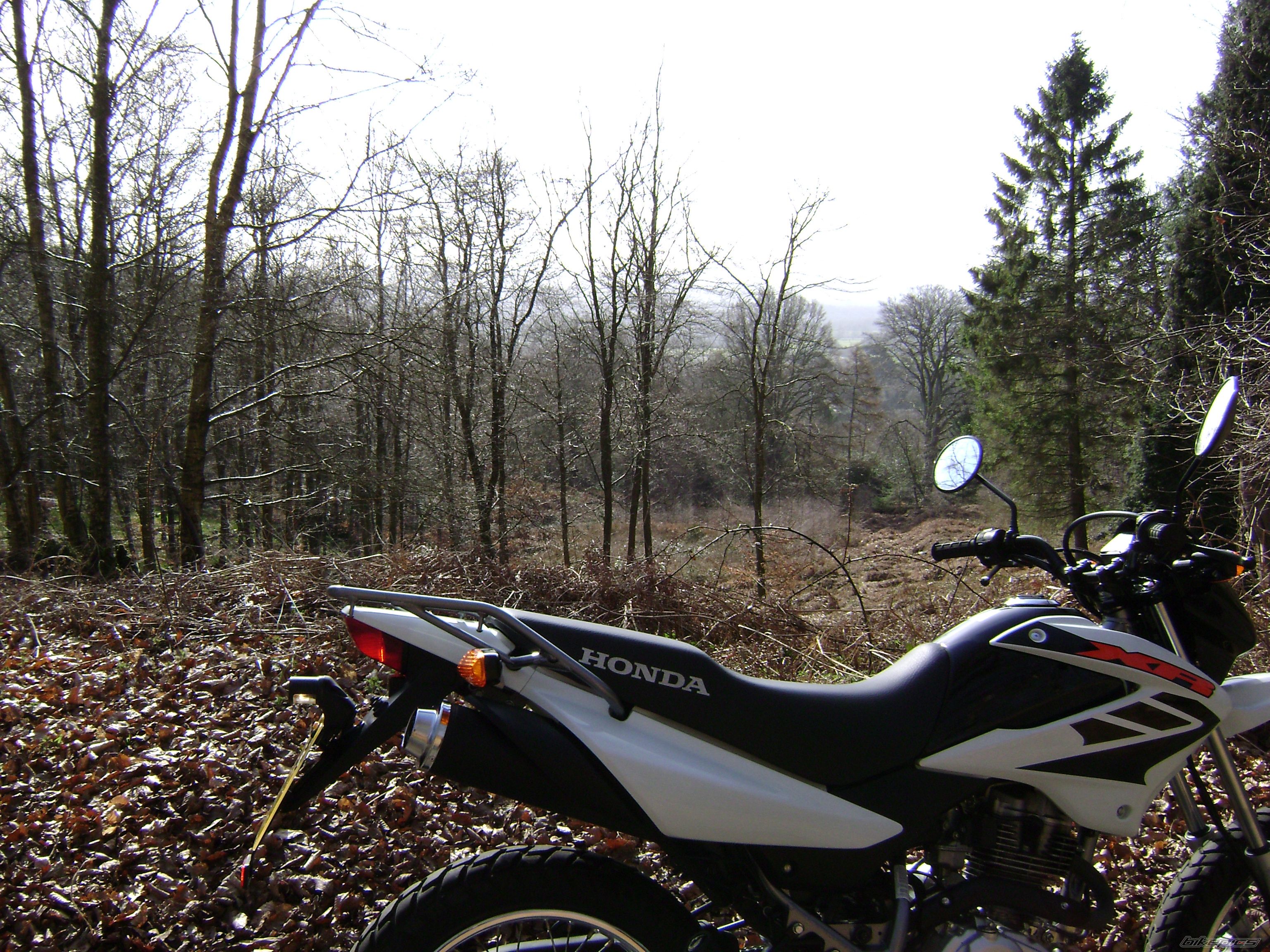 Bike Photo 1601488