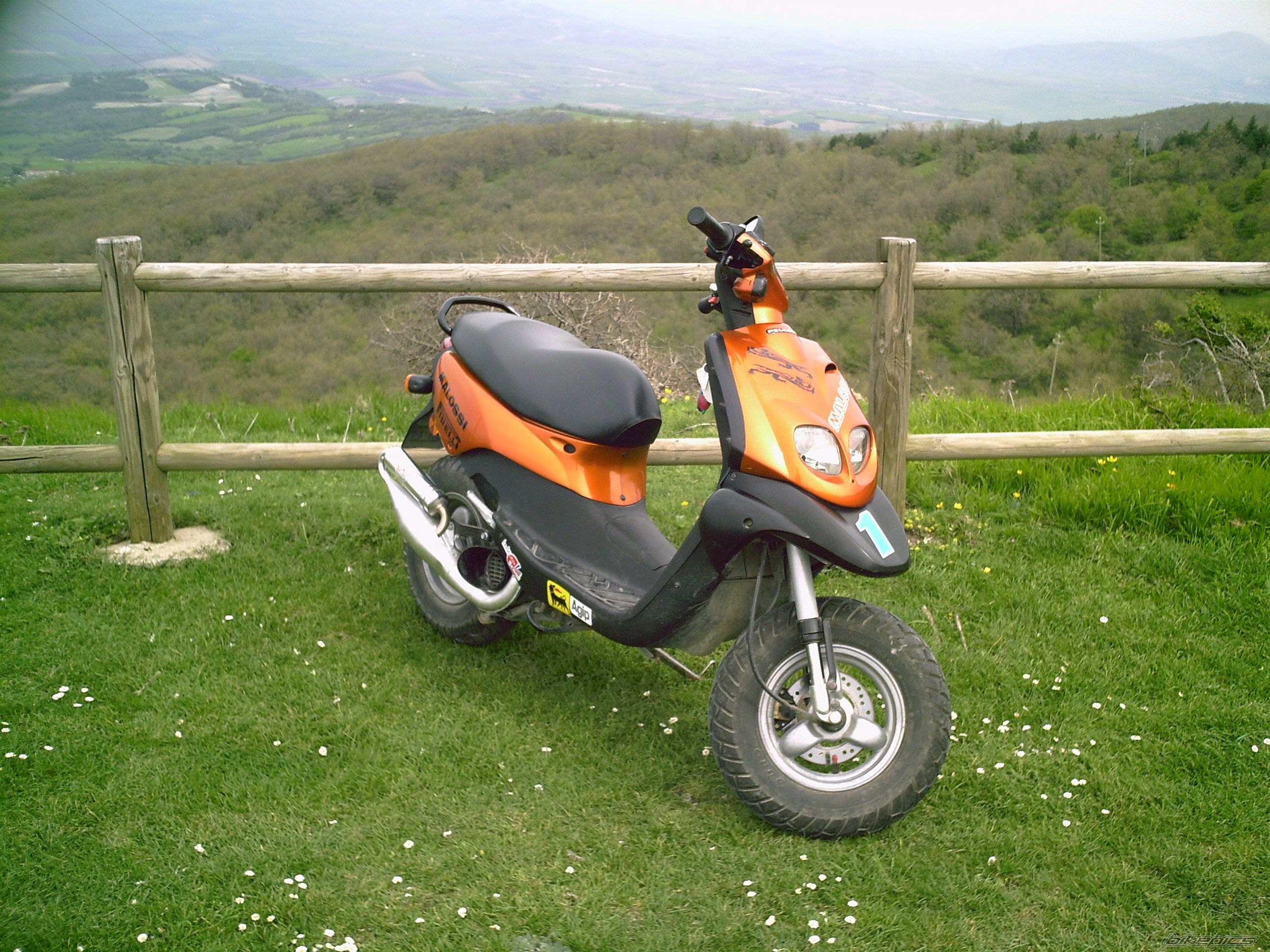 Photo 1601654