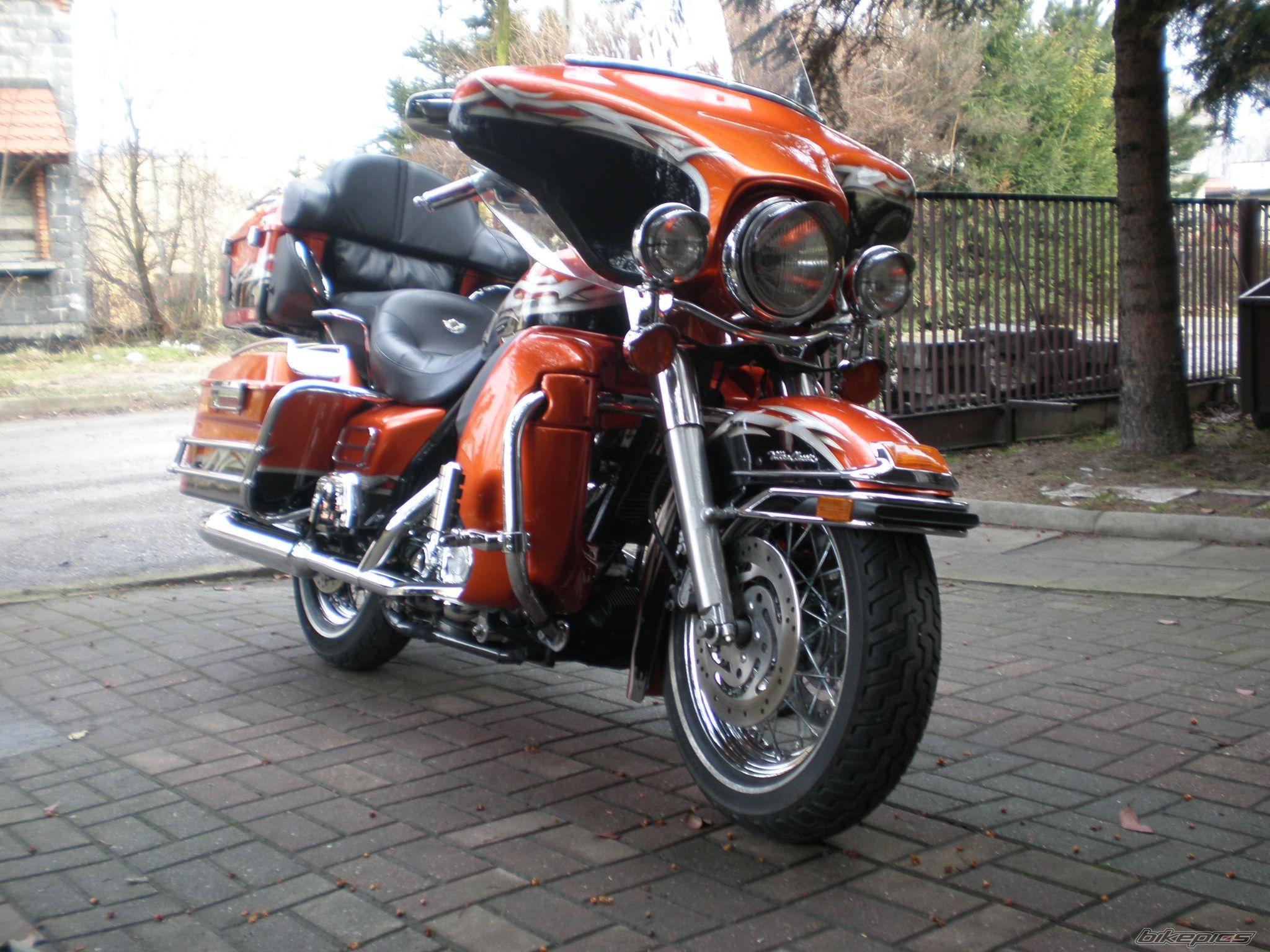 Photo 1601754