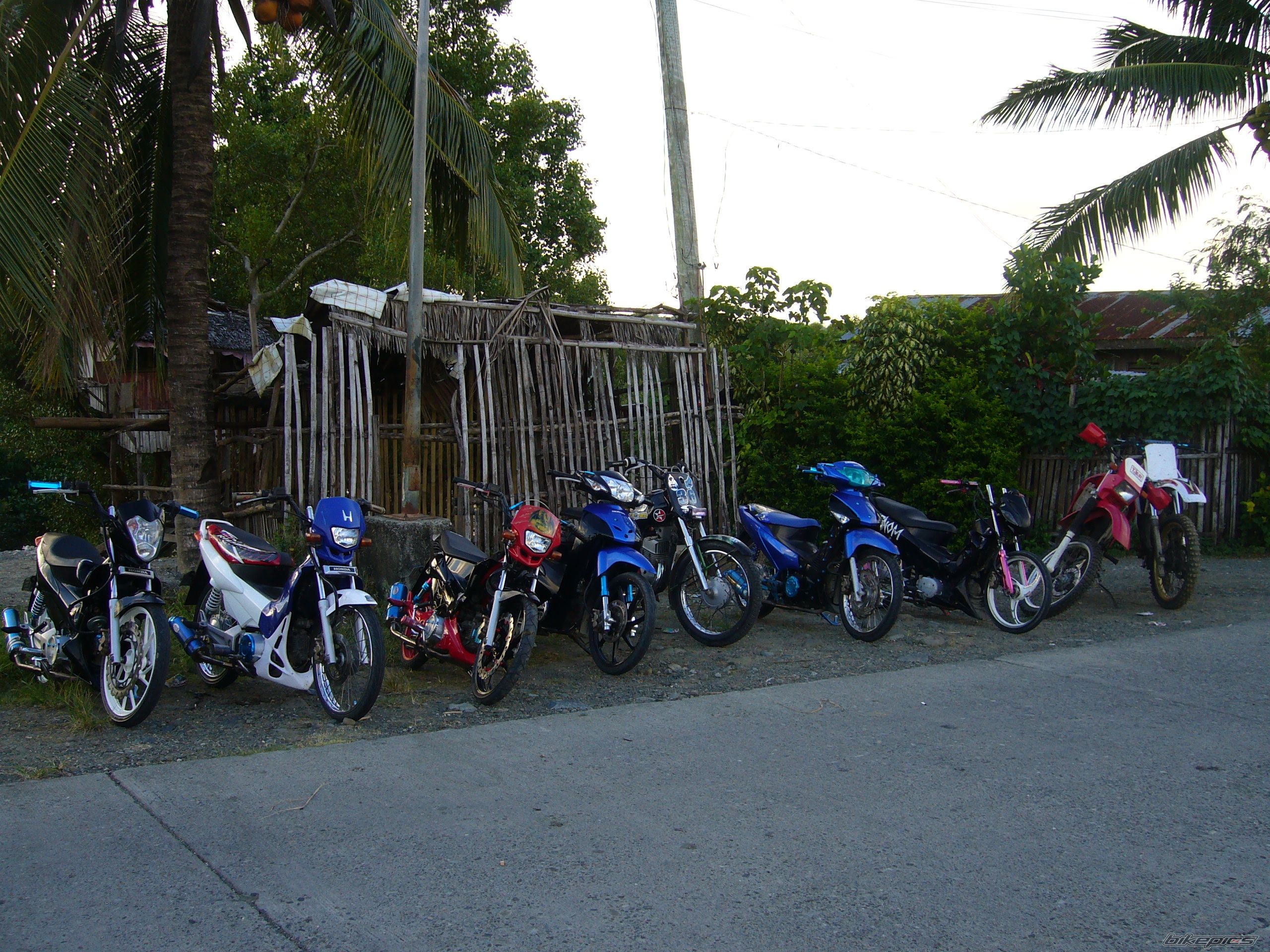 Photo 1601788