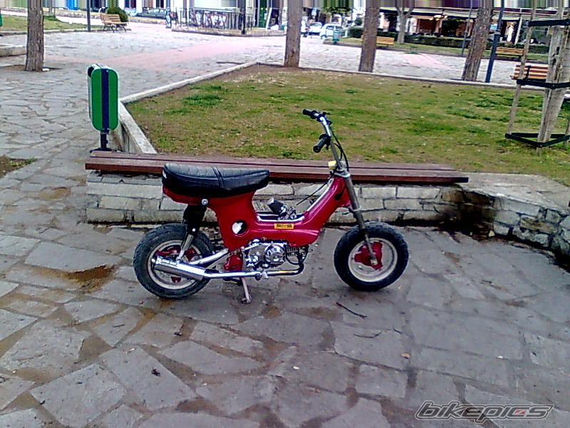 Photo 1602061