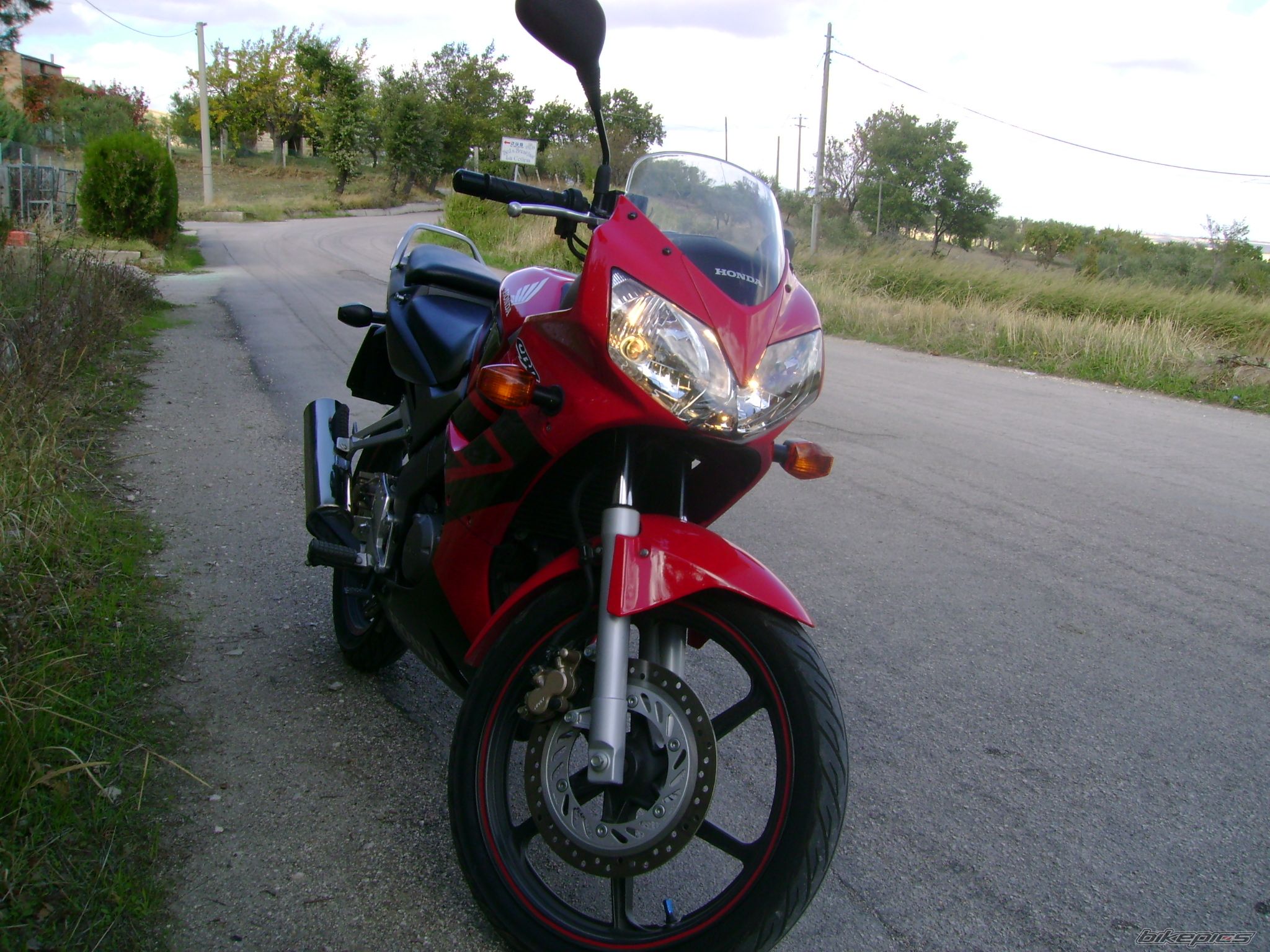 Photo 1602399