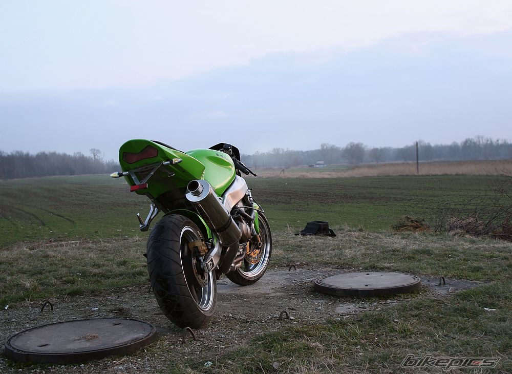 Photo 1602469