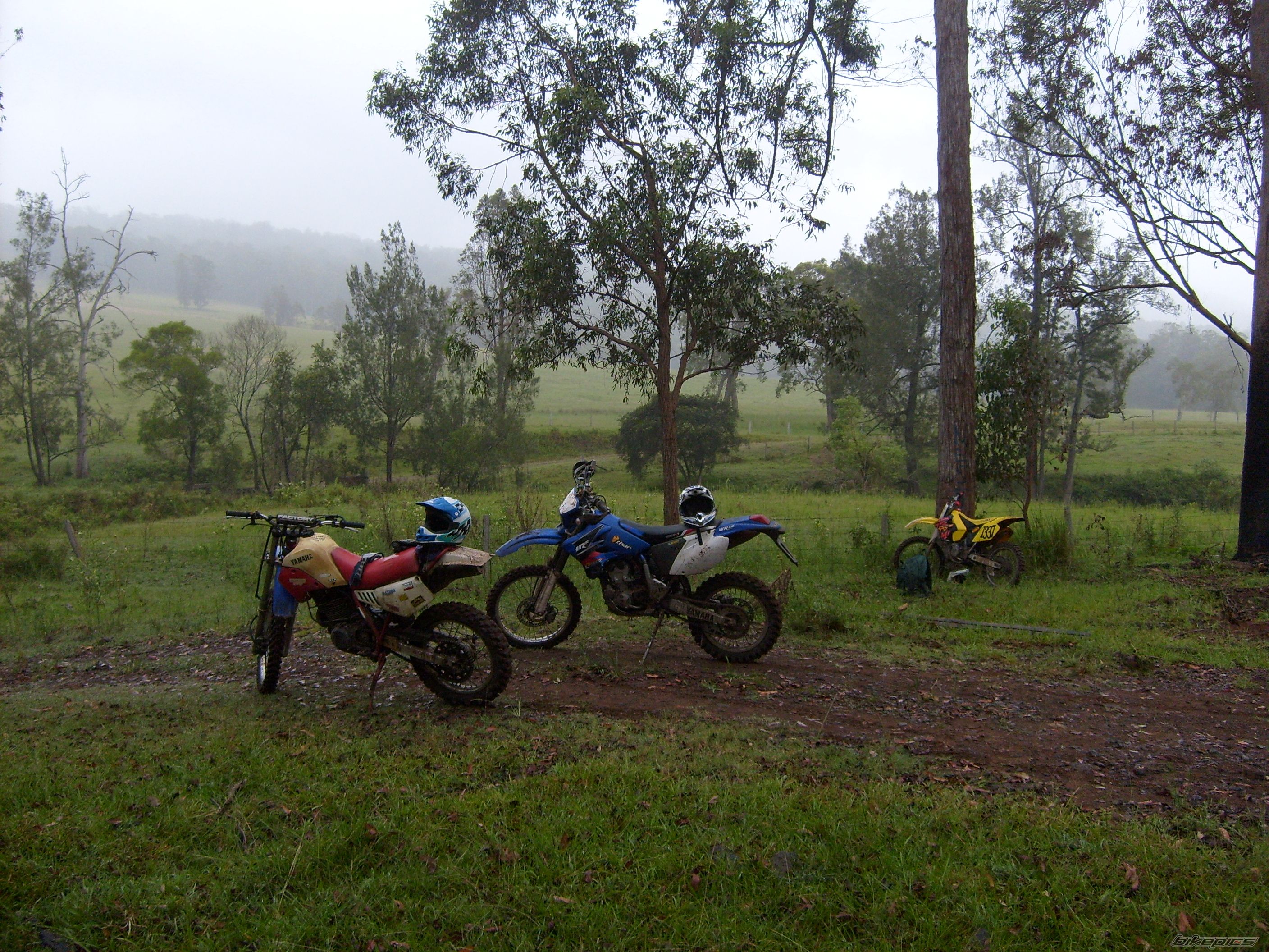 Photo 1602831