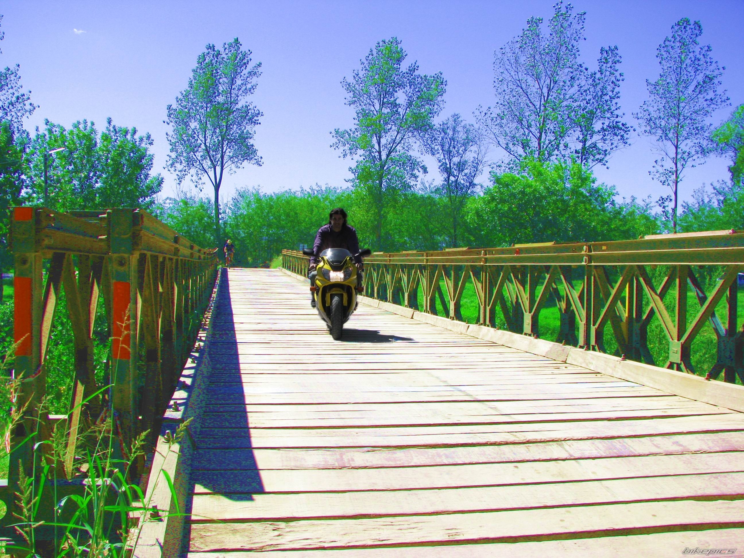 Bike Photo 1603054