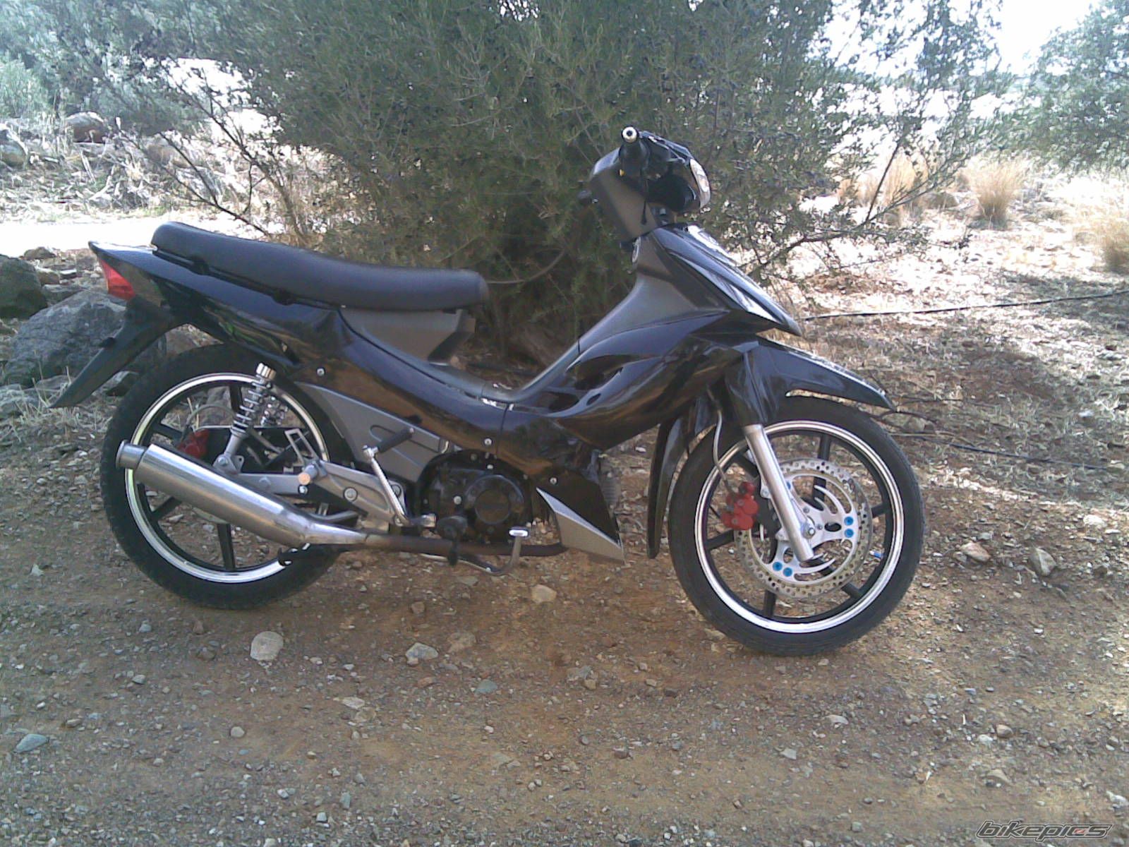 Photo 1603068