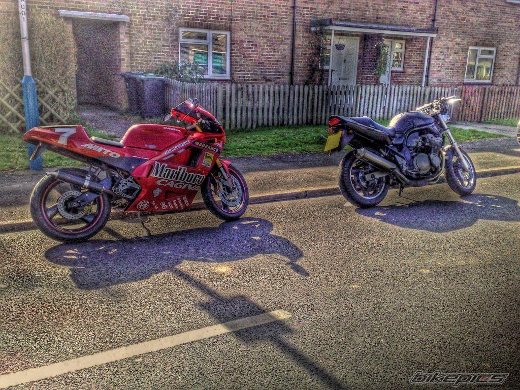 Photo 1603340