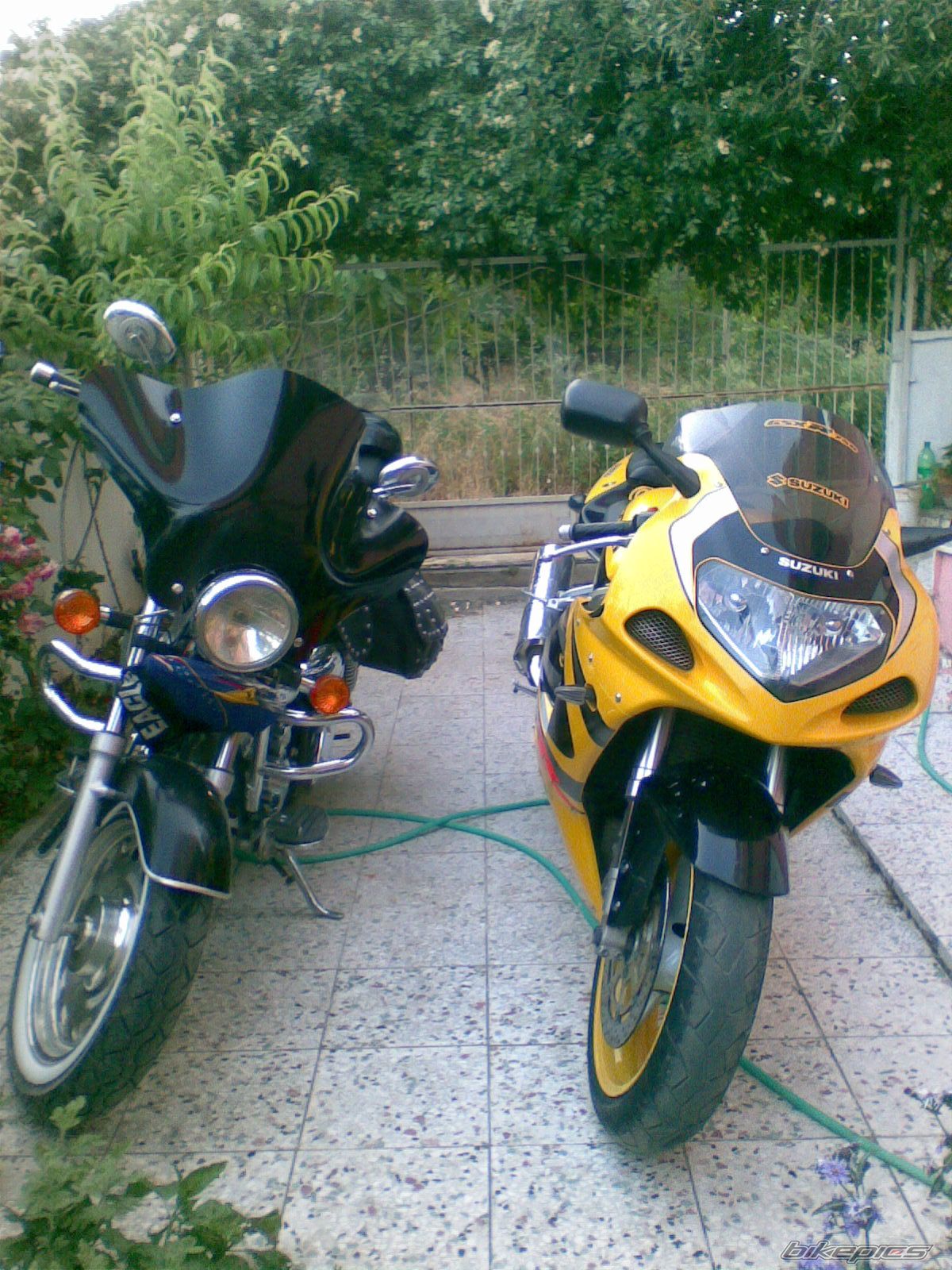 Bike Photo 1603361