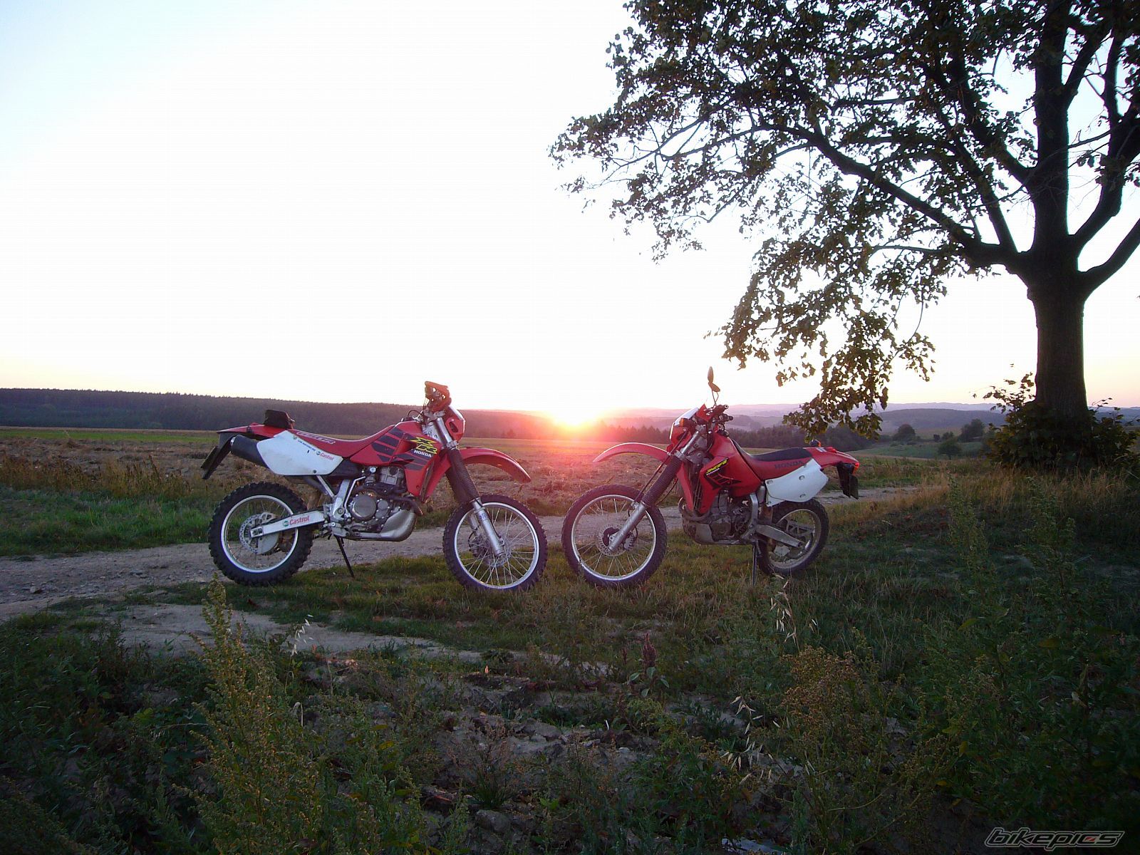 Bike Photo 1603413