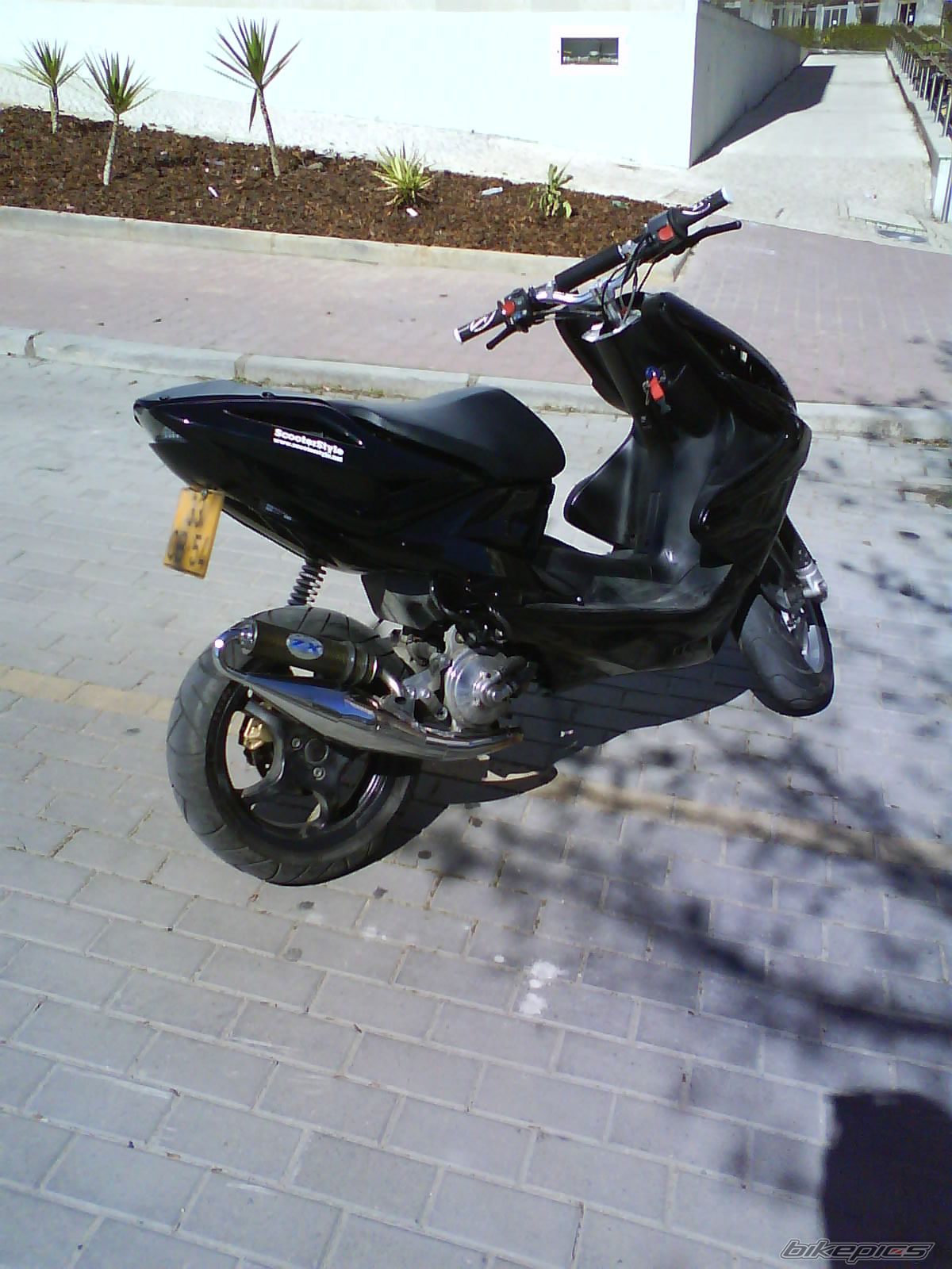 Photo 1603499