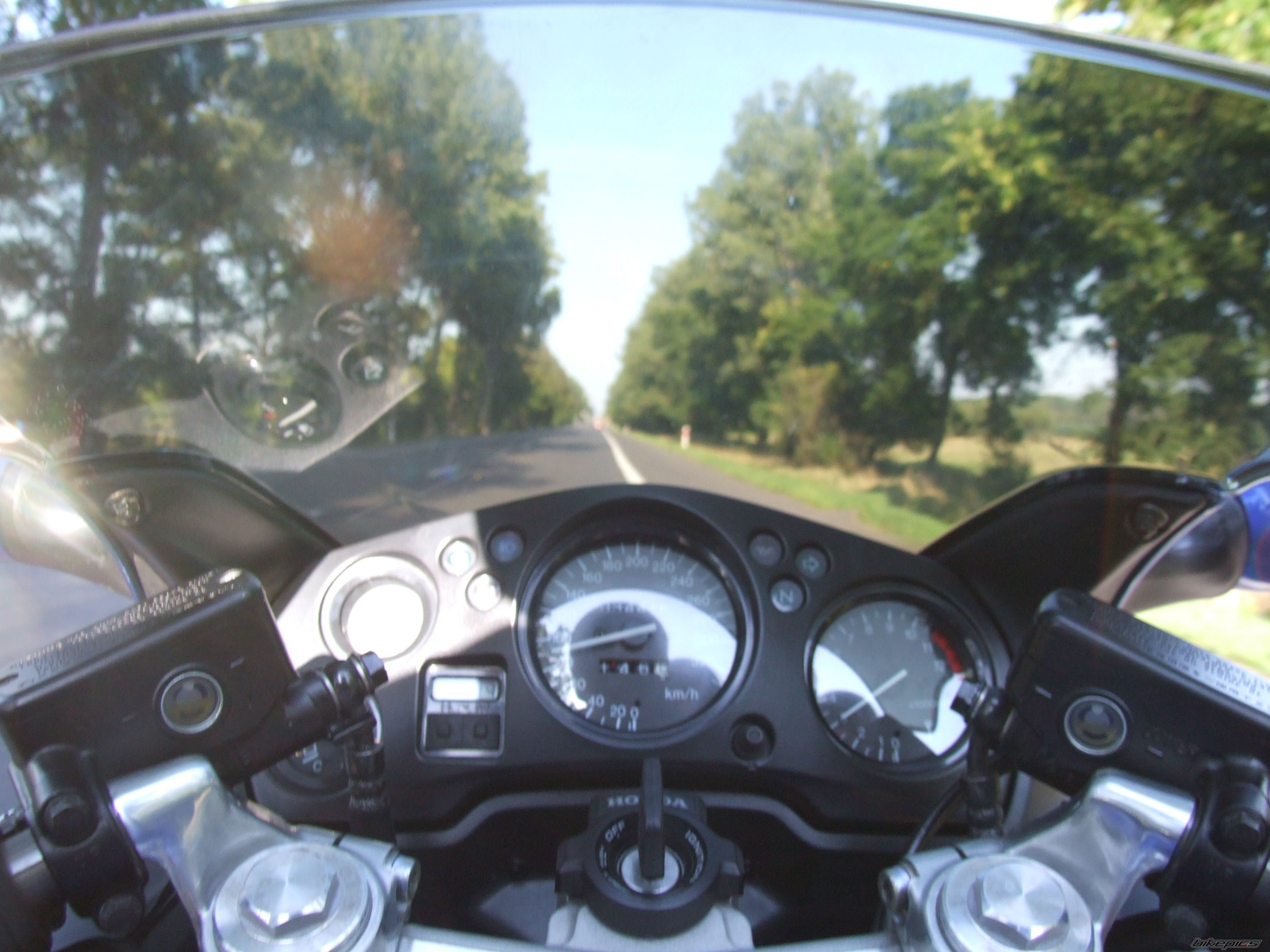 Photo 1603544