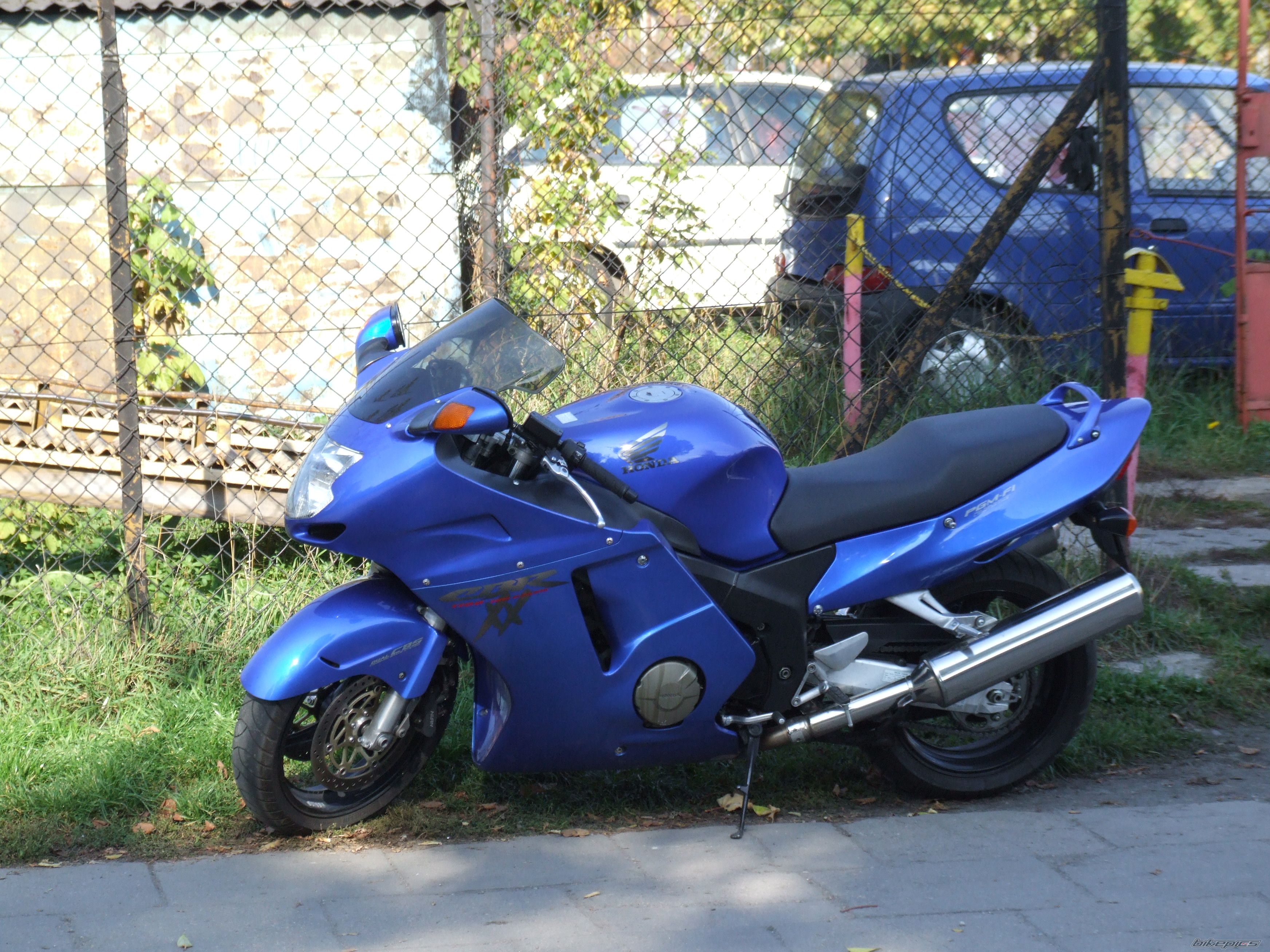 Photo 1603550