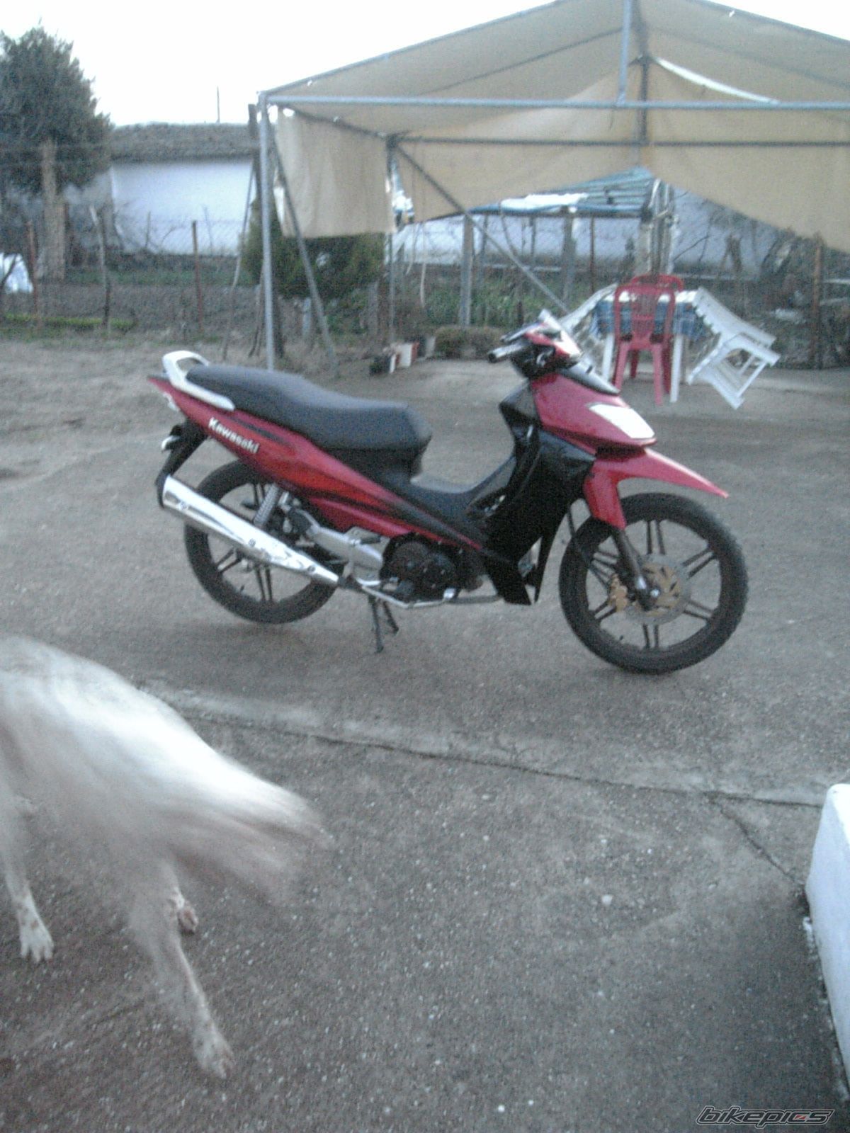 Photo 1603579