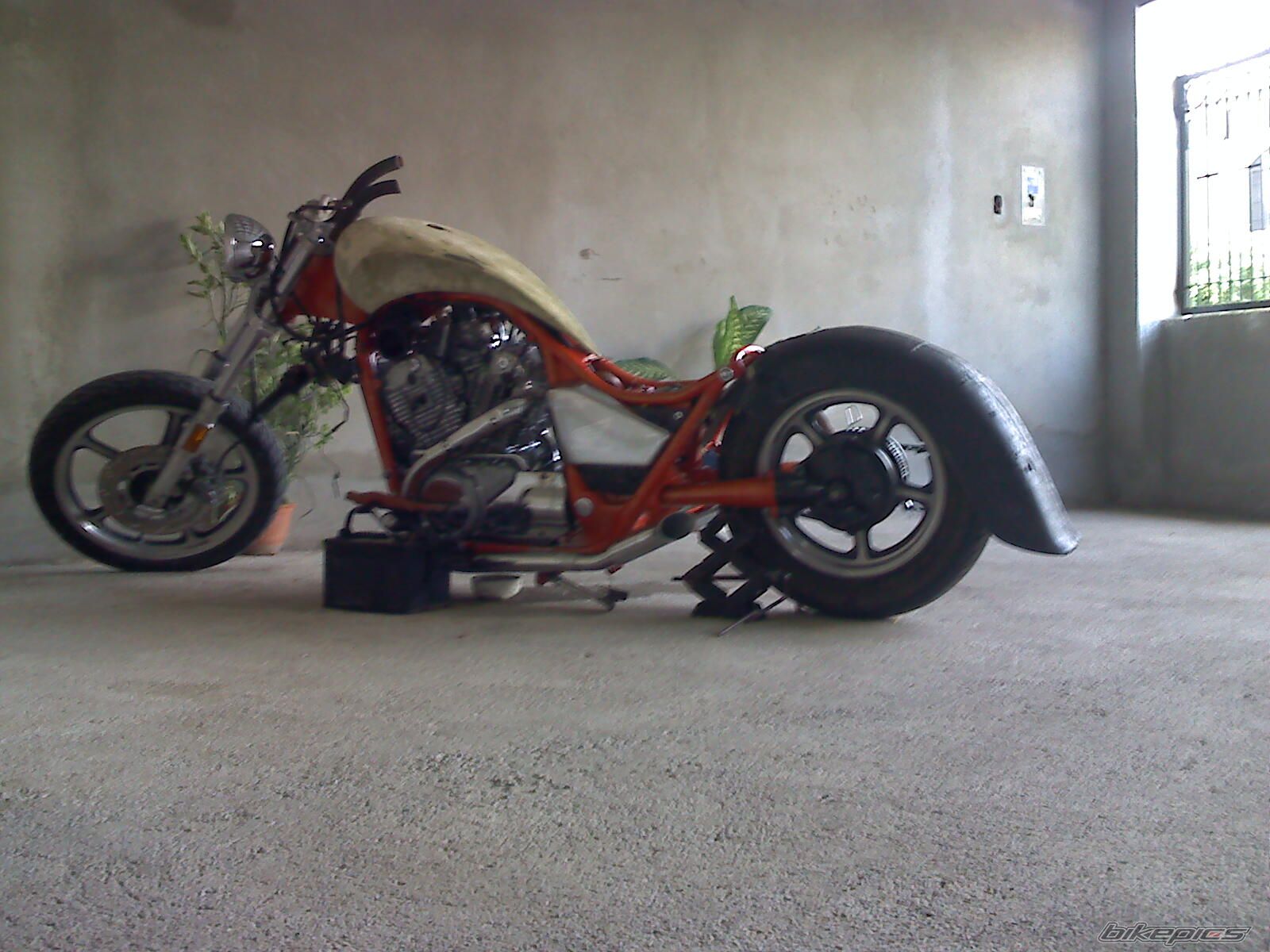 Photo 1603650