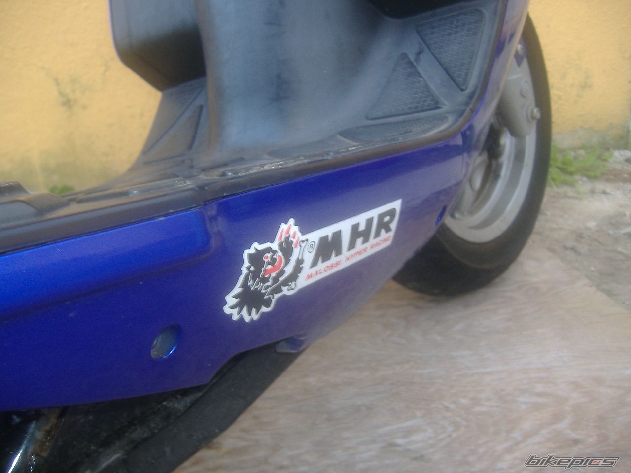 Photo 1603670