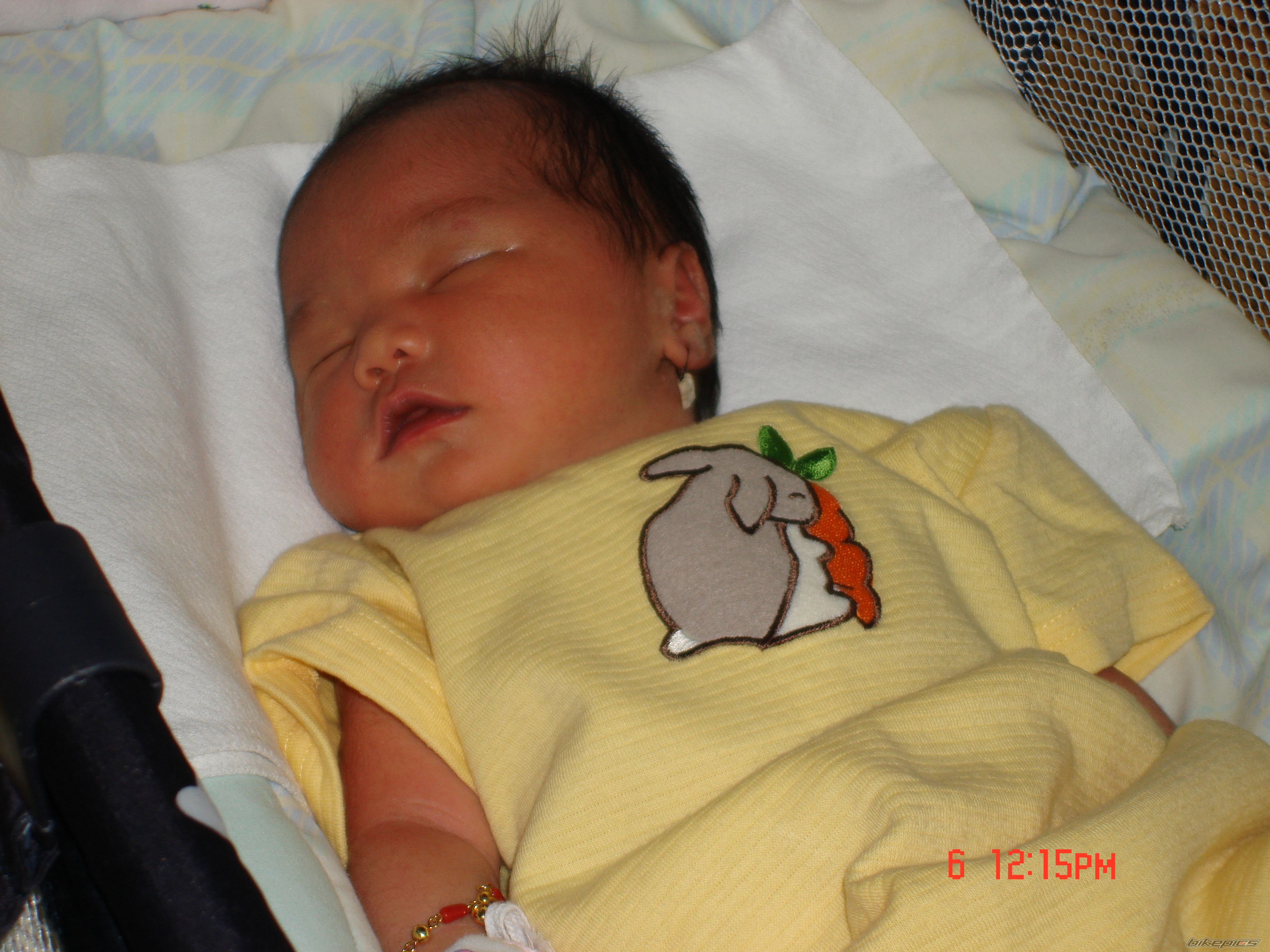 Photo 1603786