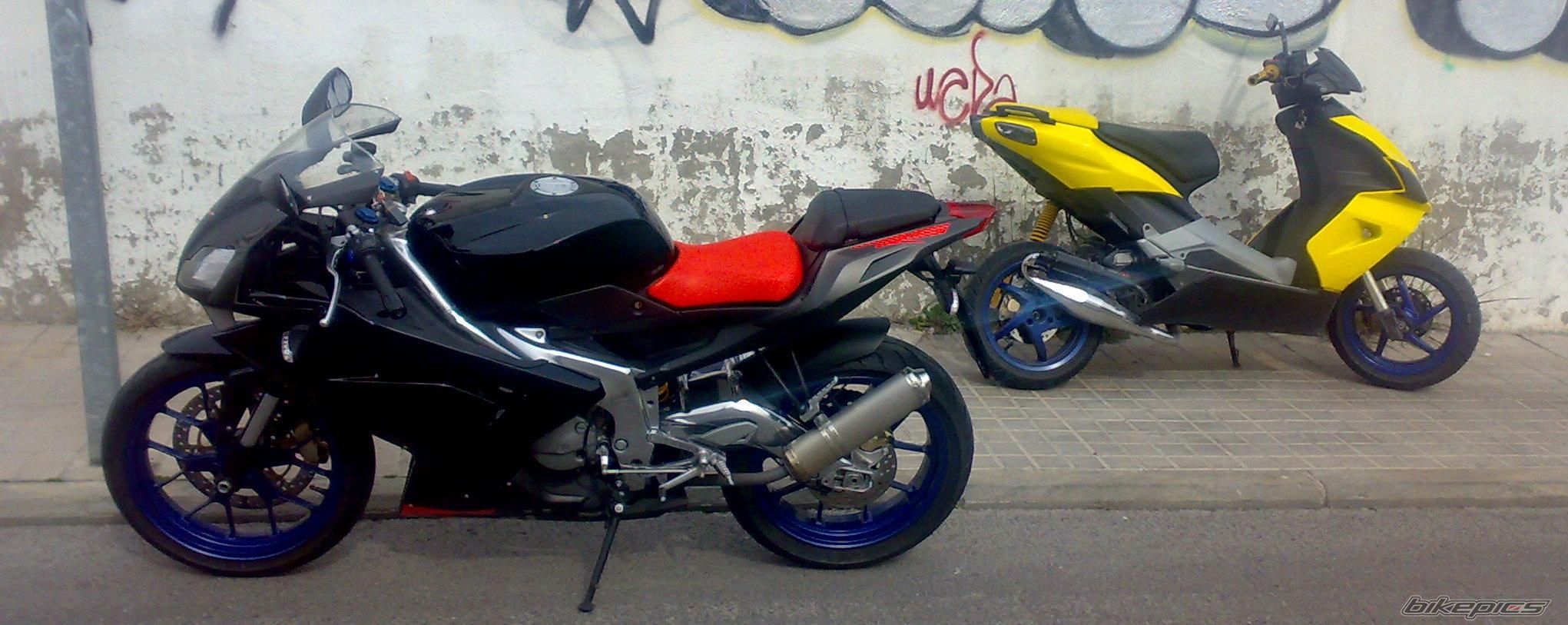 Photo 1603849