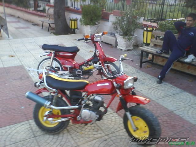 Photo 1604015