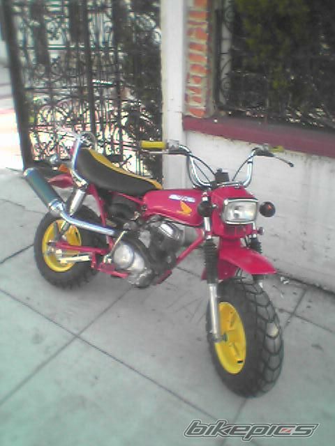 Photo 1604052