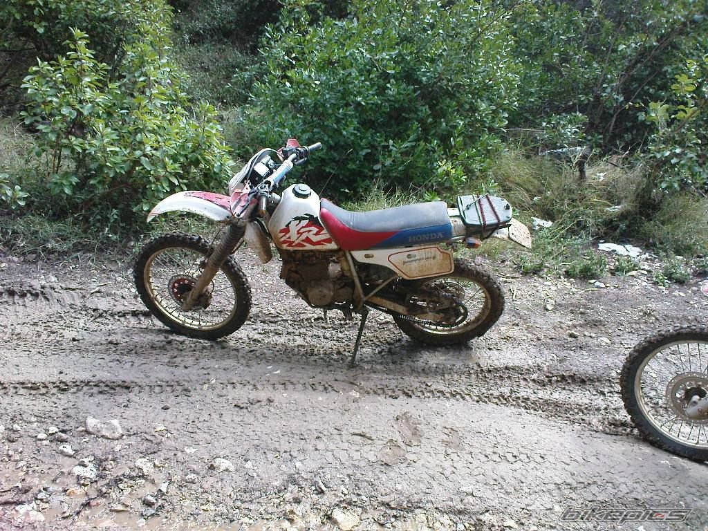 Bike Photo 1604410