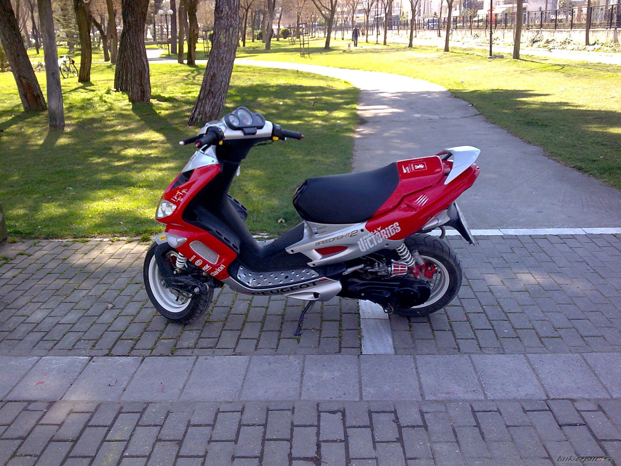 Photo 1604559
