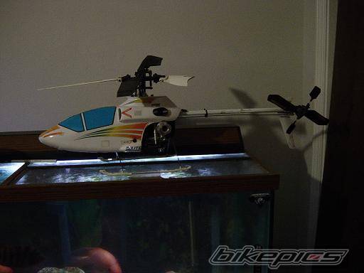 Photo 160466