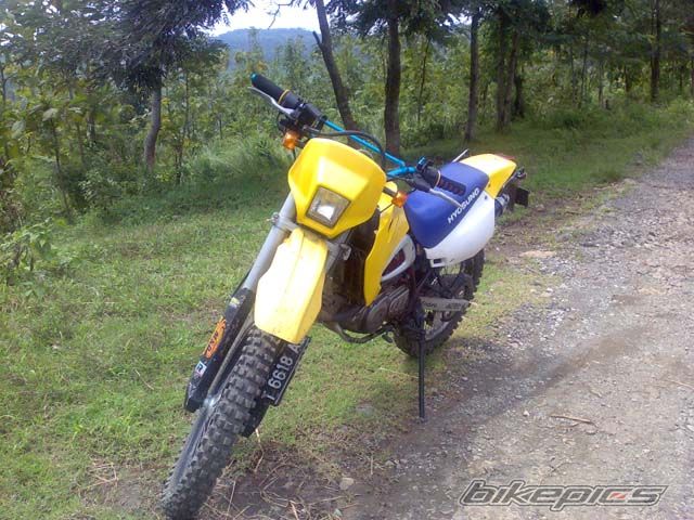 Photo 1604856
