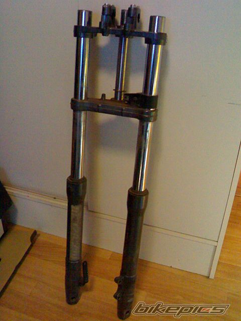 Photo 1605169