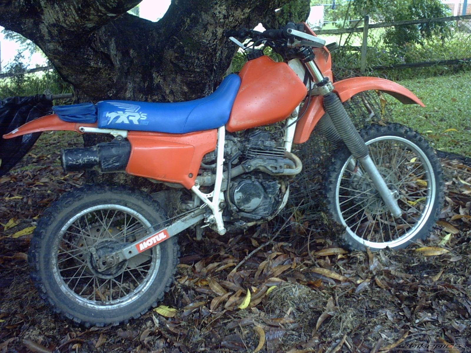 Bike Photo 160546