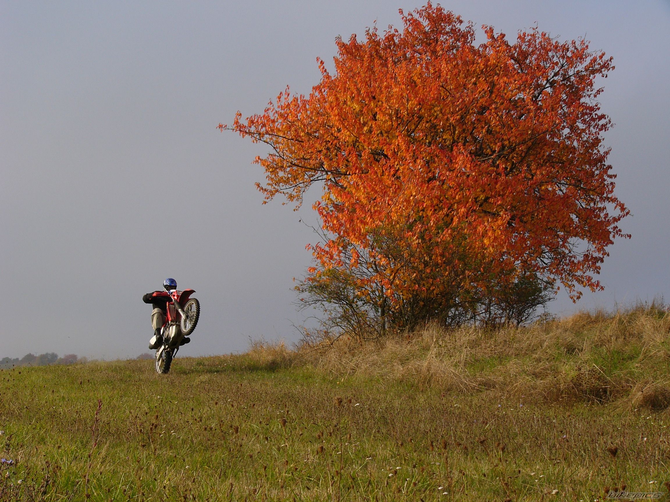 Bike Photo 1605783