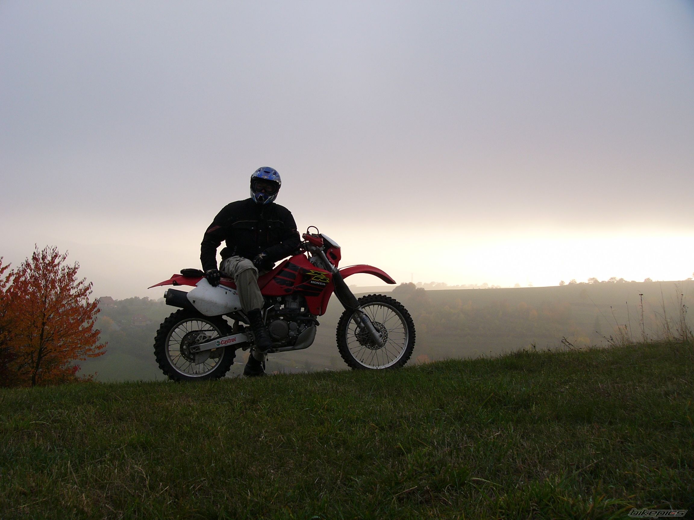 Bike Photo 1605790