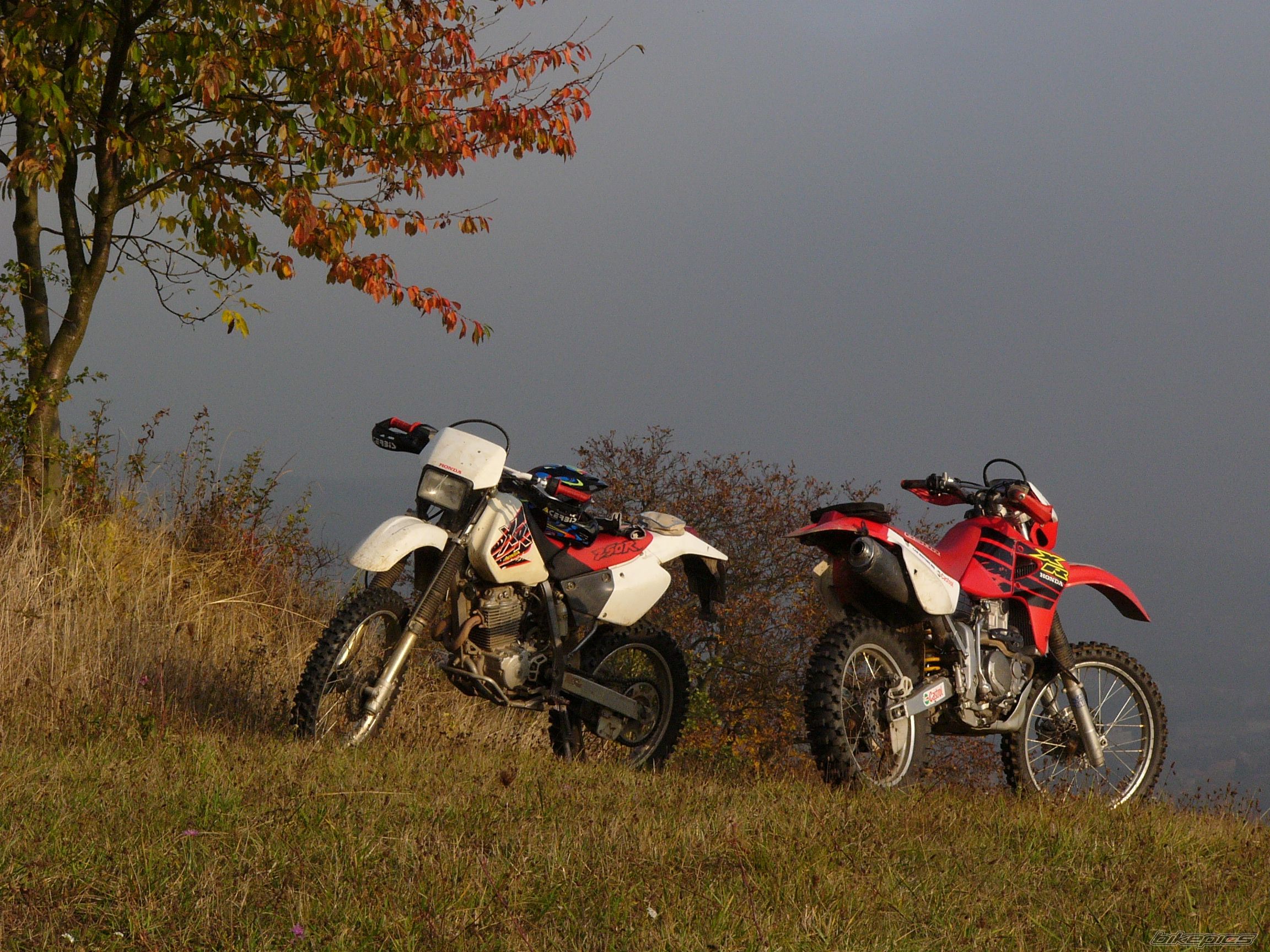 Bike Photo 1605798