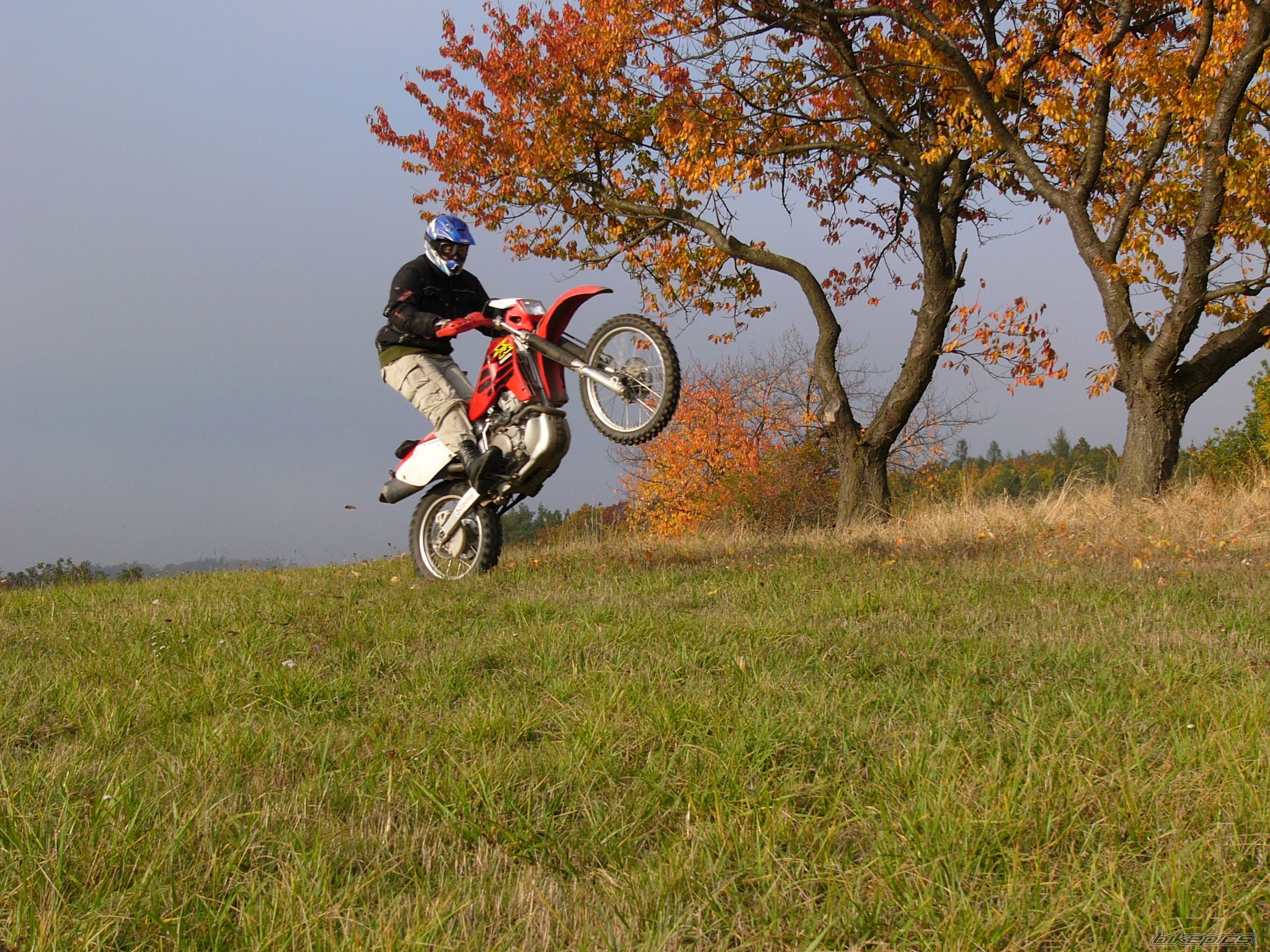 Bike Photo 1605803