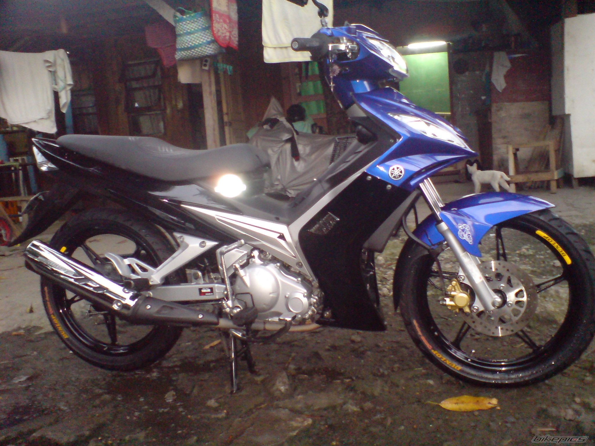 Bike Photo 1606084