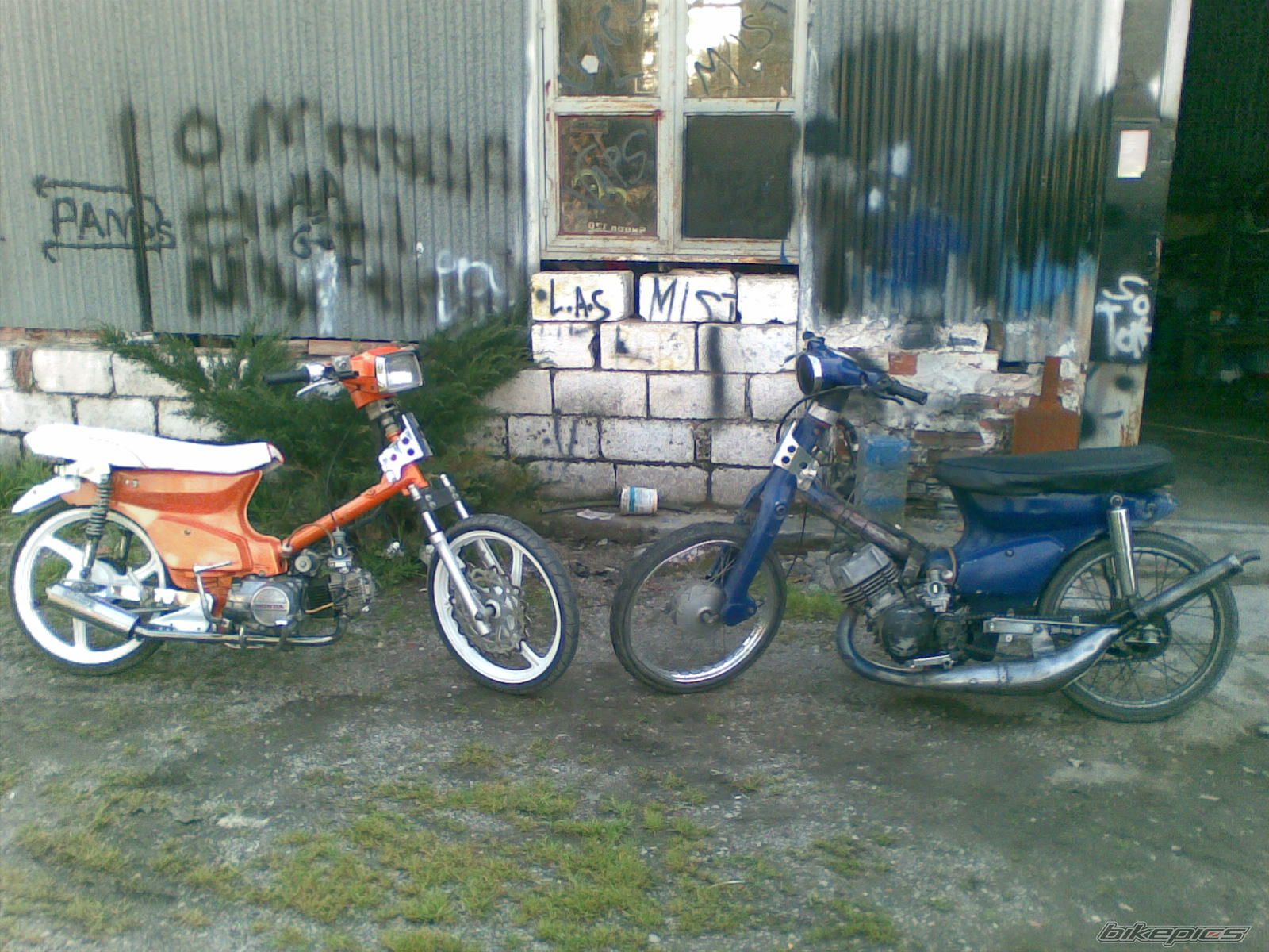 Photo 1606396