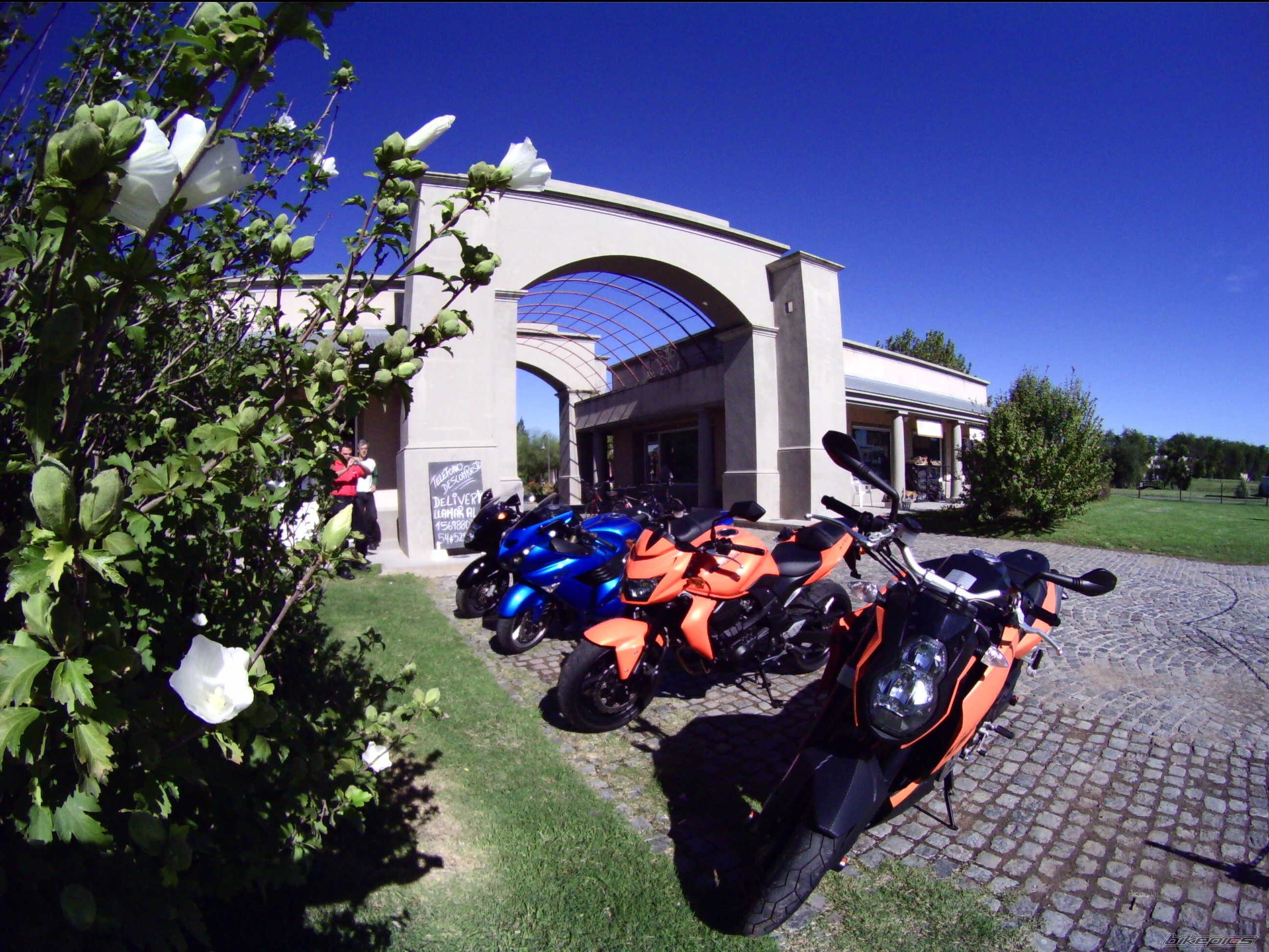 Photo 1606798
