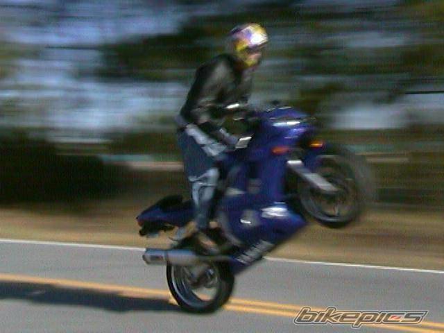 Photo 16077