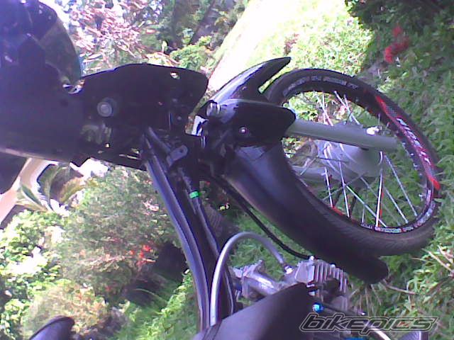 Photo 1608554